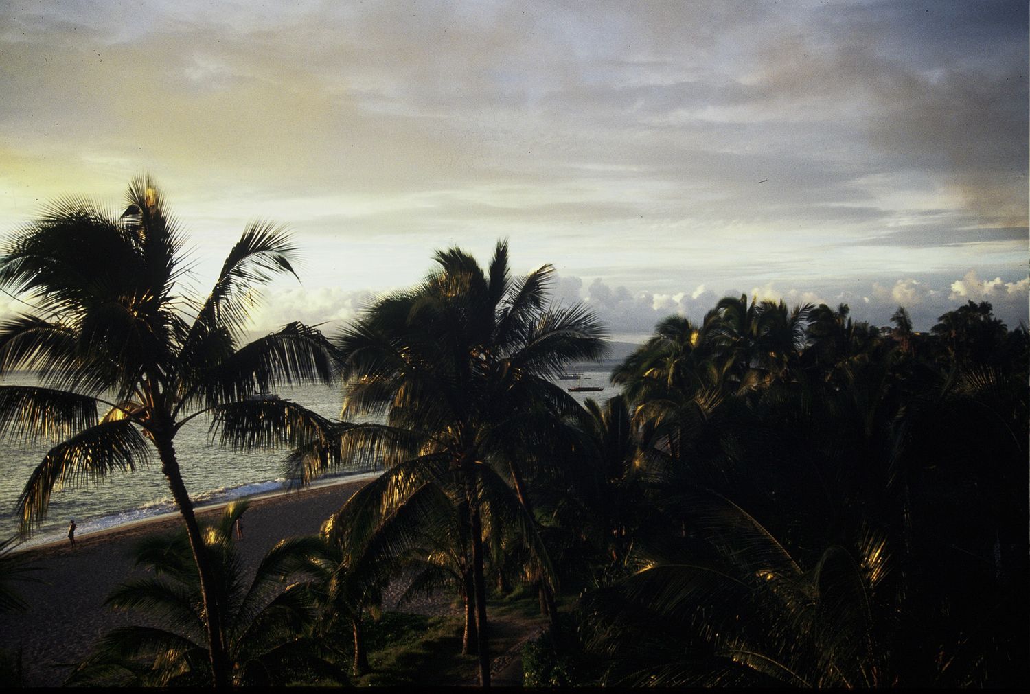 Silhouetted palm trees against a dramatic sunset sky over a tropical beach coastline.