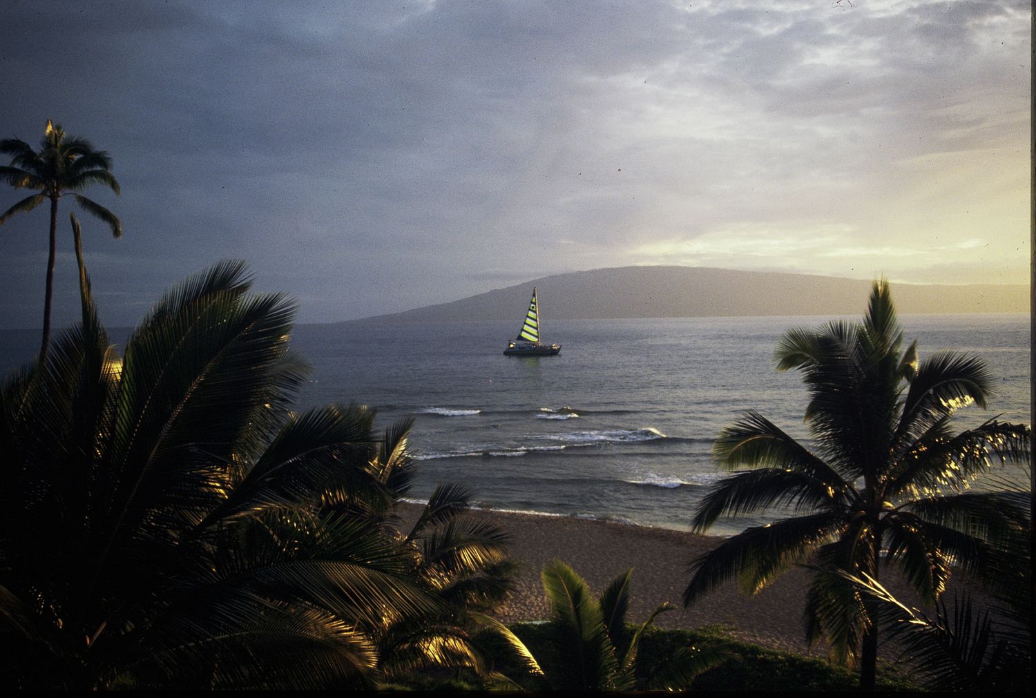 Tropical beach sunset with palm trees silhouetted and a catamaran sailboat on calm Hawaiian waters.