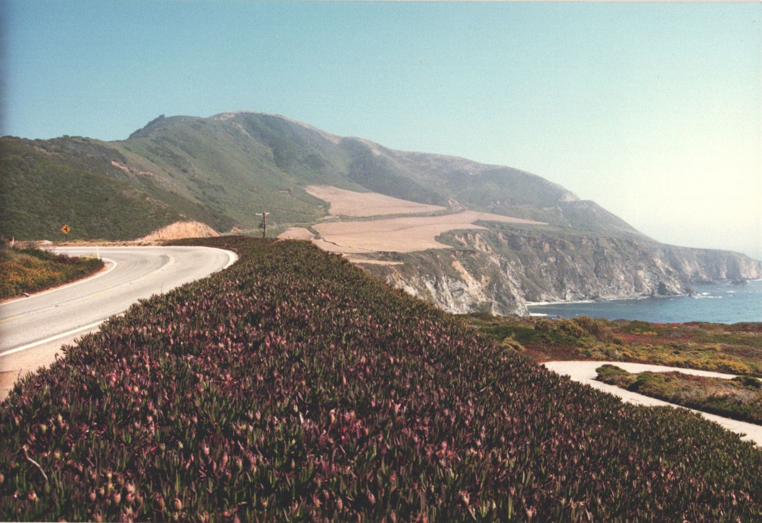 Scenic coastal highway winding along dramatic cliffs with wildflowers and mountains in Big Sur, California.