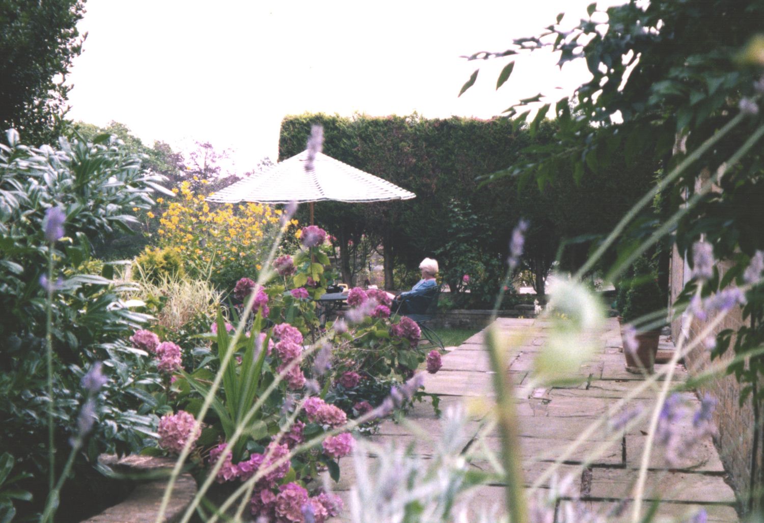 Person relaxing in a lush garden patio surrounded by colorful pink hydrangeas and flowers under a white umbrella.