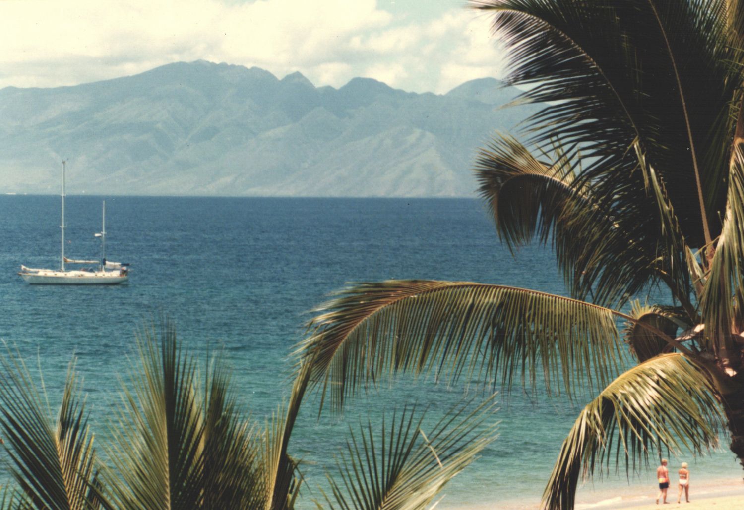 Sailboat anchored in calm blue tropical waters with palm trees and mountain range in the background.