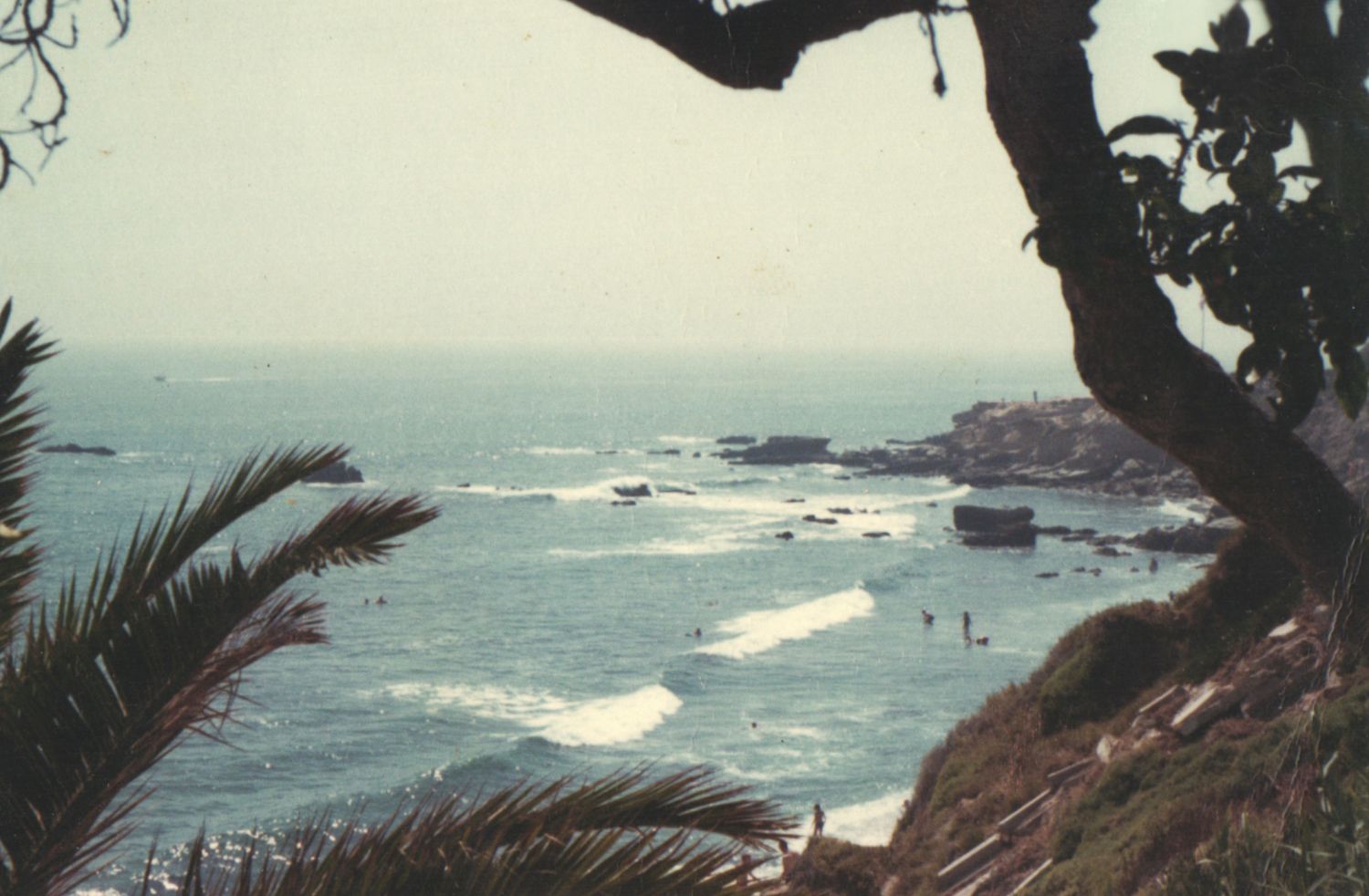 Aerial coastal view with palm trees framing rocky shoreline and ocean waves, people swimming in blue waters below.