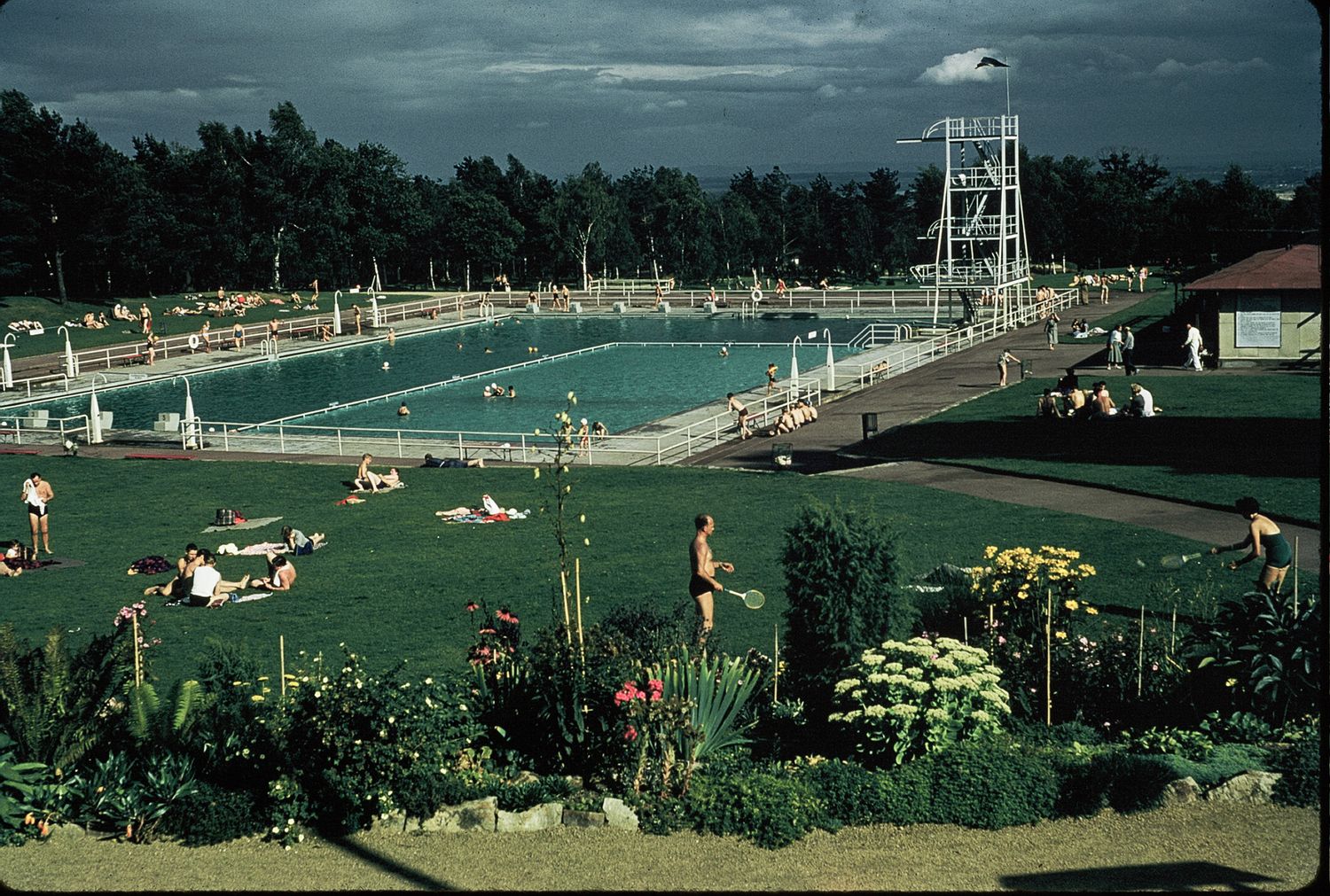 Aerial view of outdoor public swimming pool surrounded by green lawn and gardens on cloudy day.