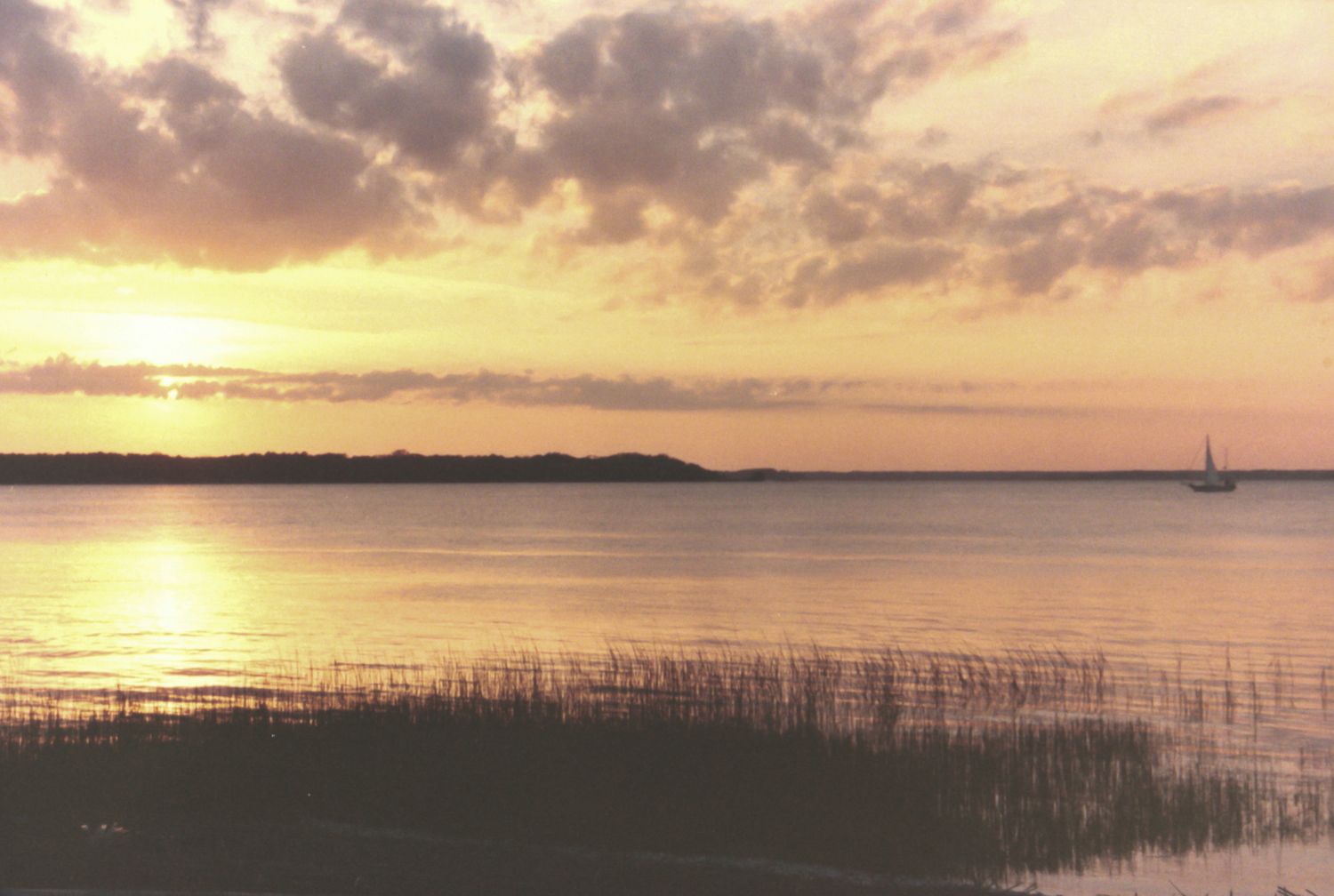 Golden sunset reflects over calm coastal waters with marsh grass silhouettes and a sailboat on the horizon.