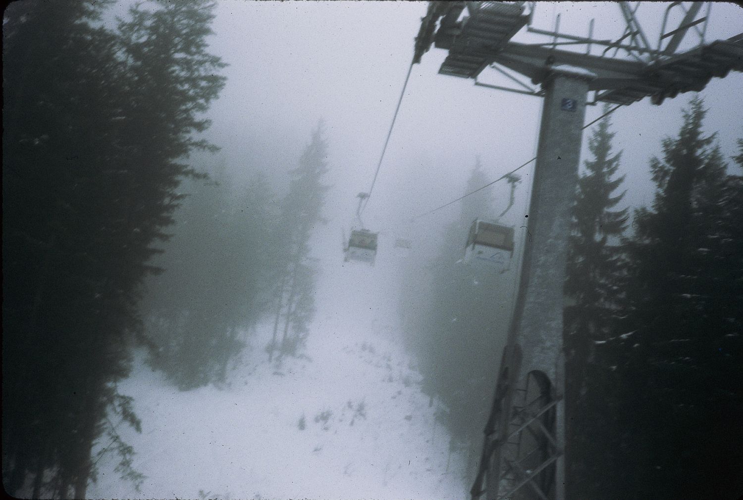 Foggy ski resort chairlift ascending through snow-covered pine trees on a misty winter day.