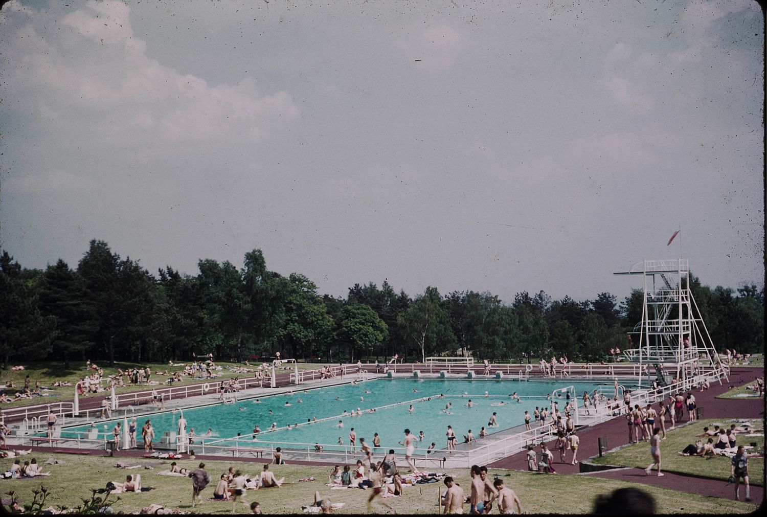 Crowded outdoor public swimming pool surrounded by sunbathers and tall trees on a warm summer day.