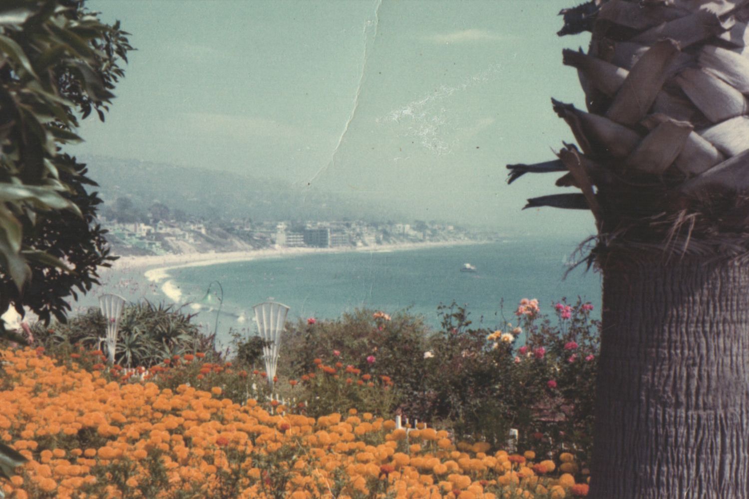 Vintage coastal view with vibrant orange flowers, lush greenery, palm tree, and a serene blue bay in the background.