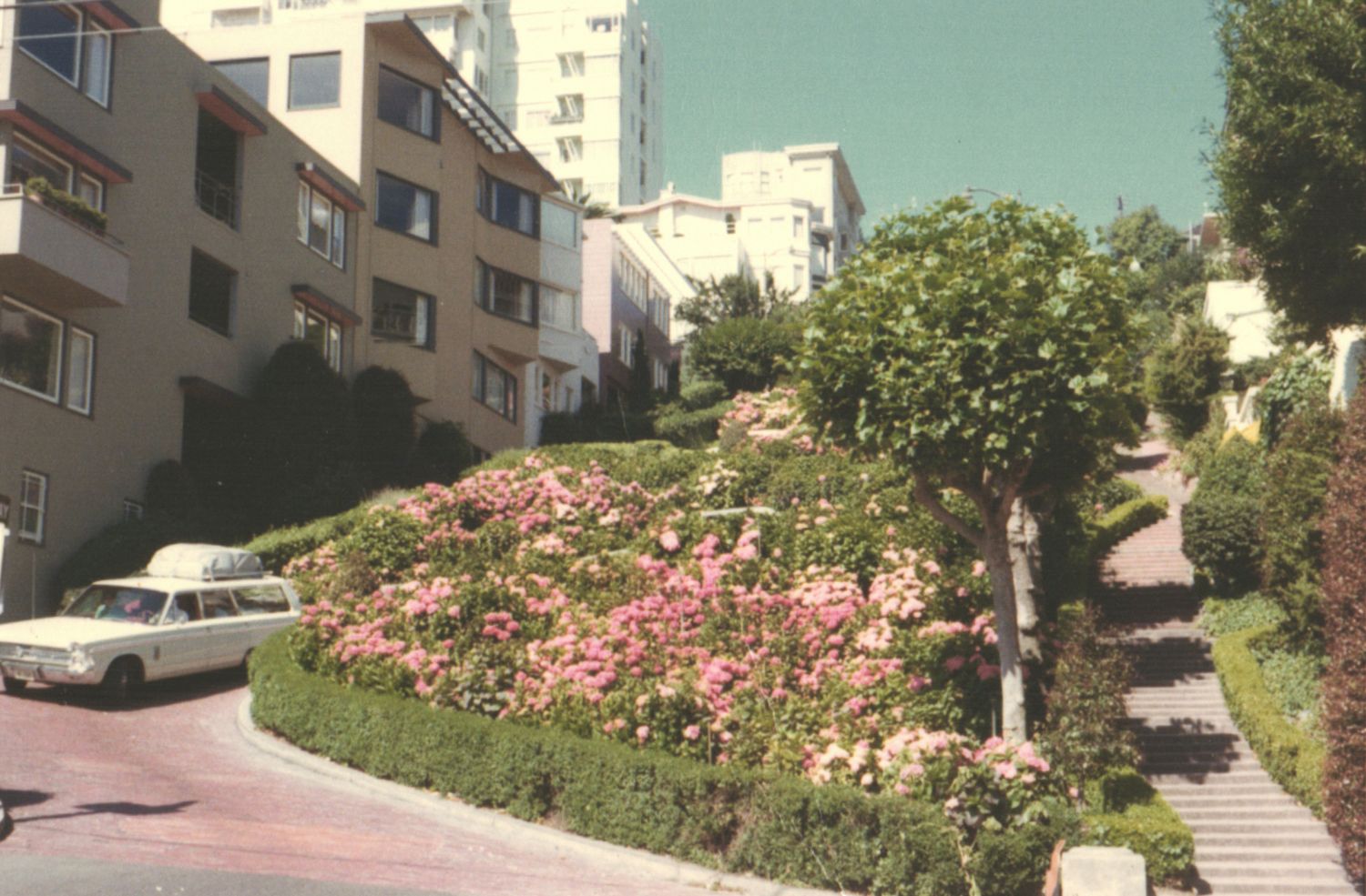 Lombard Street San Francisco winding road with colorful pink flower gardens and apartment buildings on a steep hill.