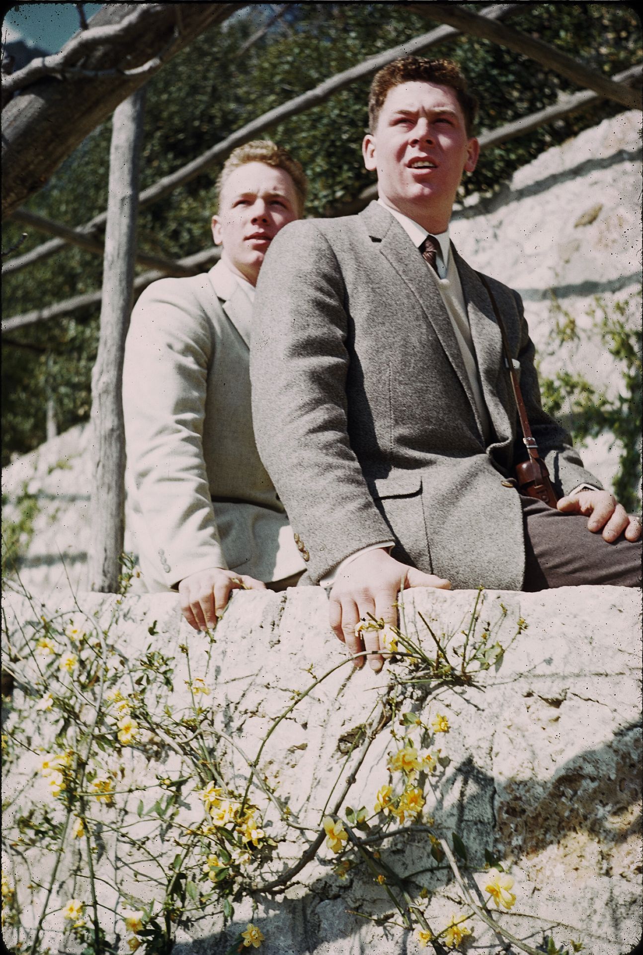 Two young men in suits sitting on a stone wall with yellow wildflowers in a sunny outdoor setting.
