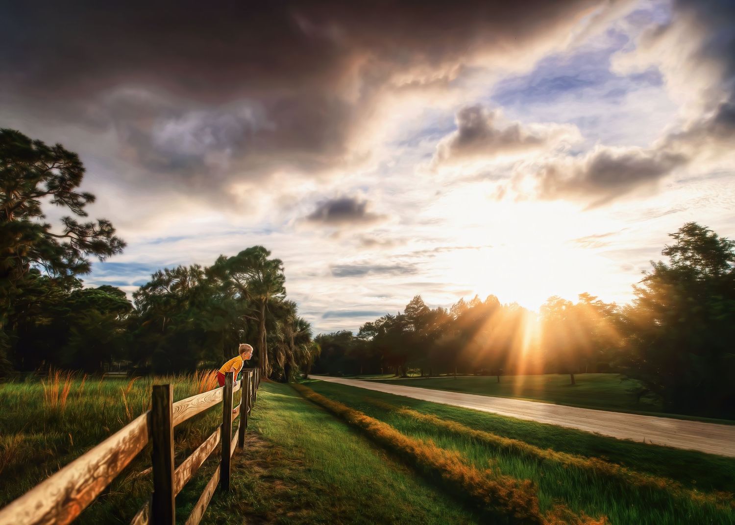 Stunning rural sunset over a wooden fence and tree-lined road with dramatic golden clouds.
