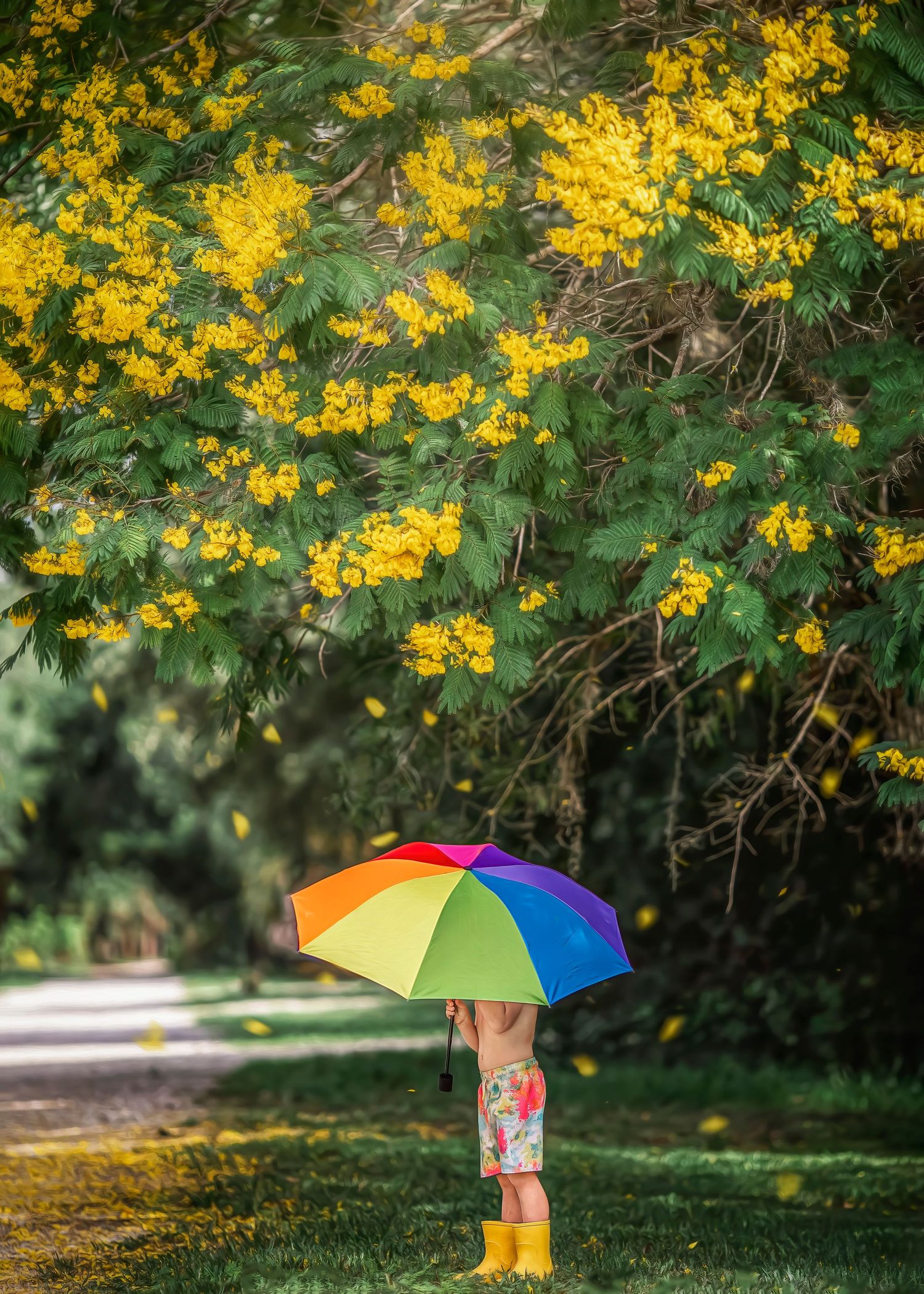A child holding a colorful rainbow umbrella stands beneath a vibrant yellow flowering tree in a lush green park.