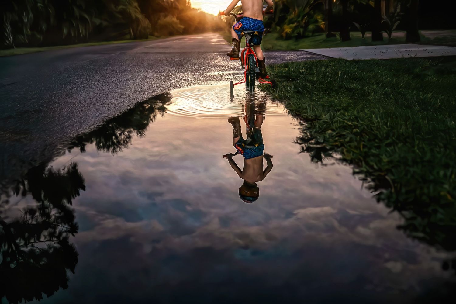 A child on a bike is reflected in a puddle on a sunlit road at sunset.