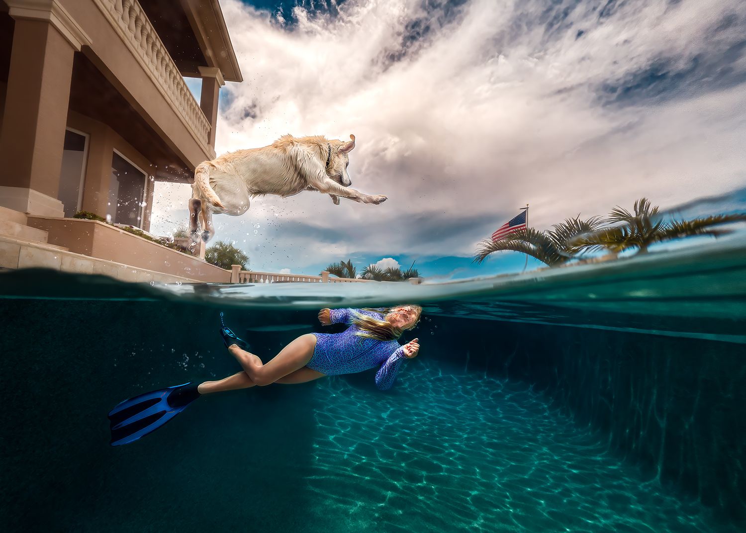 Split underwater view of a dog jumping into a pool while a child in fins swims below the surface.