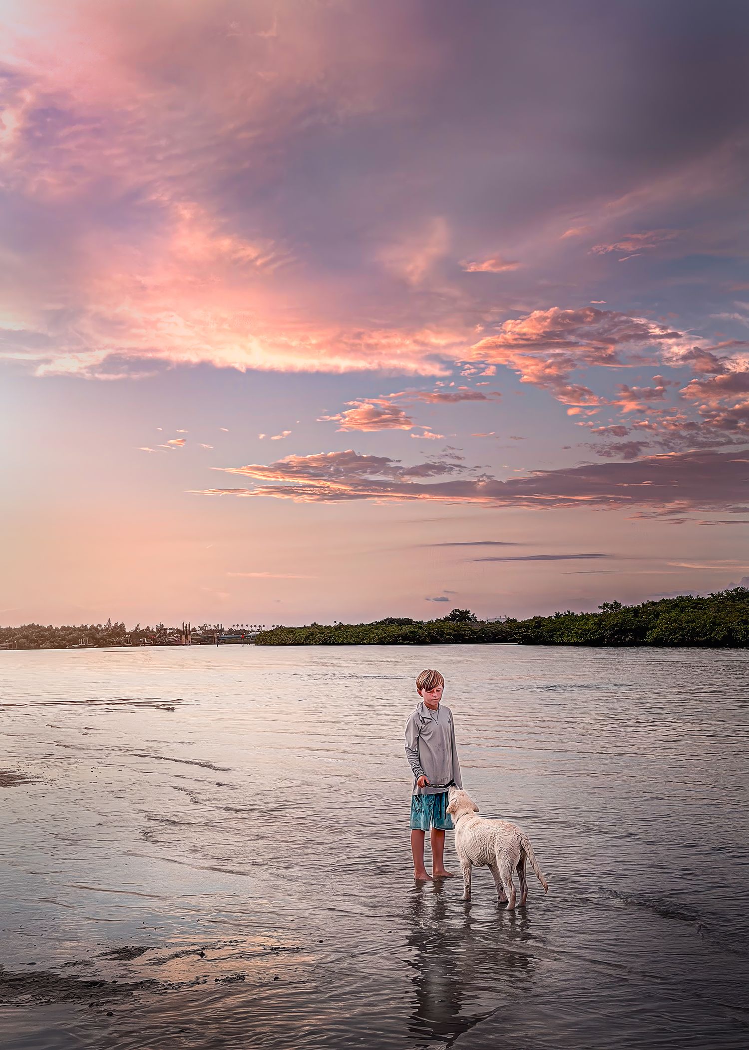A young boy stands with his white dog on a shallow beach under a stunning pink and purple sunset sky.