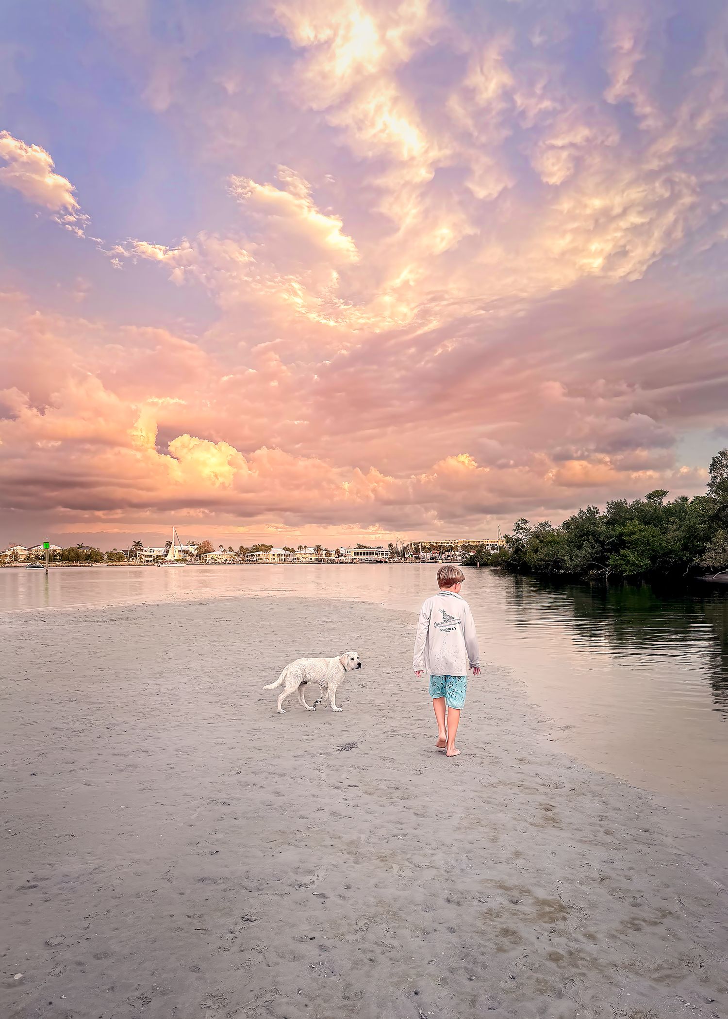 Child and white dog walking on sandy beach at sunset under dramatic pink and purple cloudy sky.