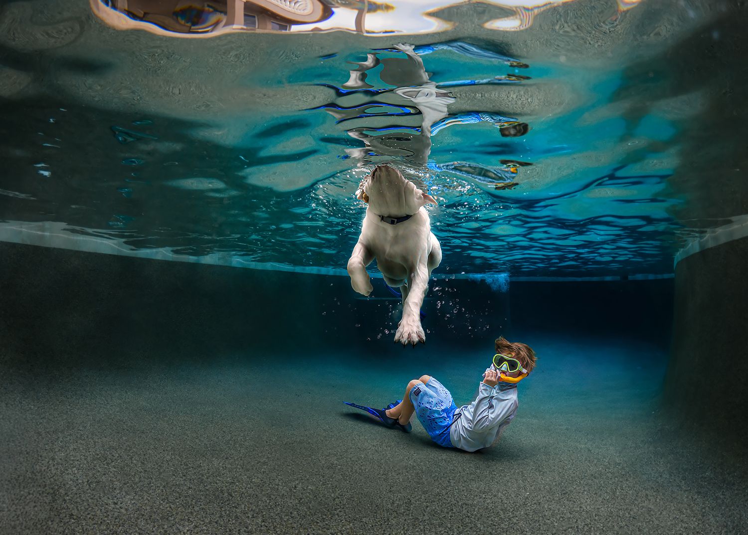 Underwater view of a dog diving into a pool toward a child wearing goggles and blue swim fins.