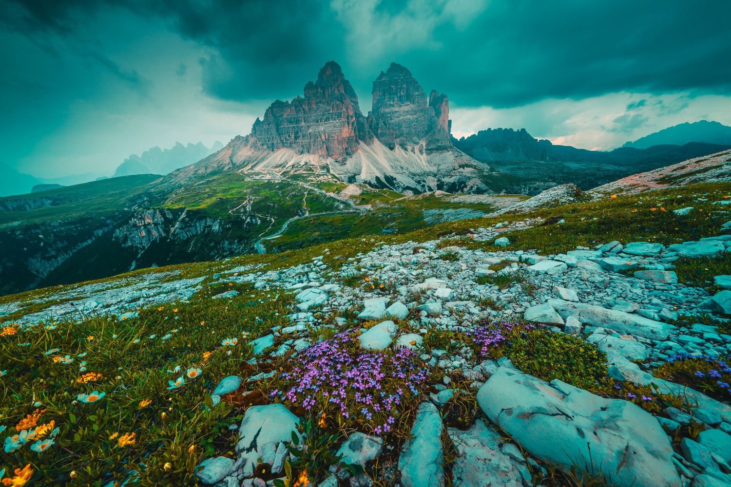 Purple wildflowers and rocky alpine meadow with dramatic Tre Cime di Lavaredo peaks under stormy sky in the Dolomites.