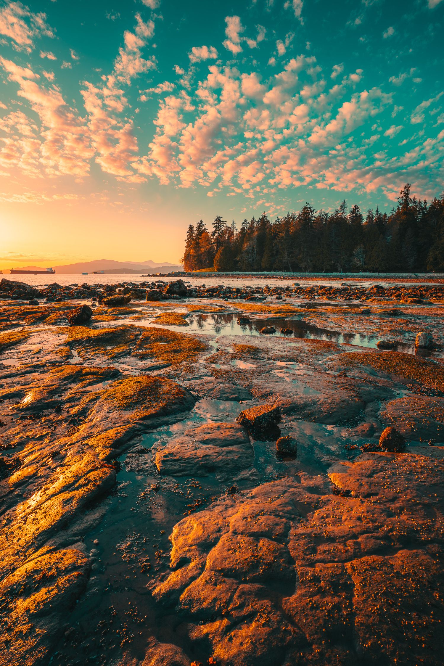 Rocky shoreline at sunset with teal sky, pink clouds, and reflections in coastal tide pools.