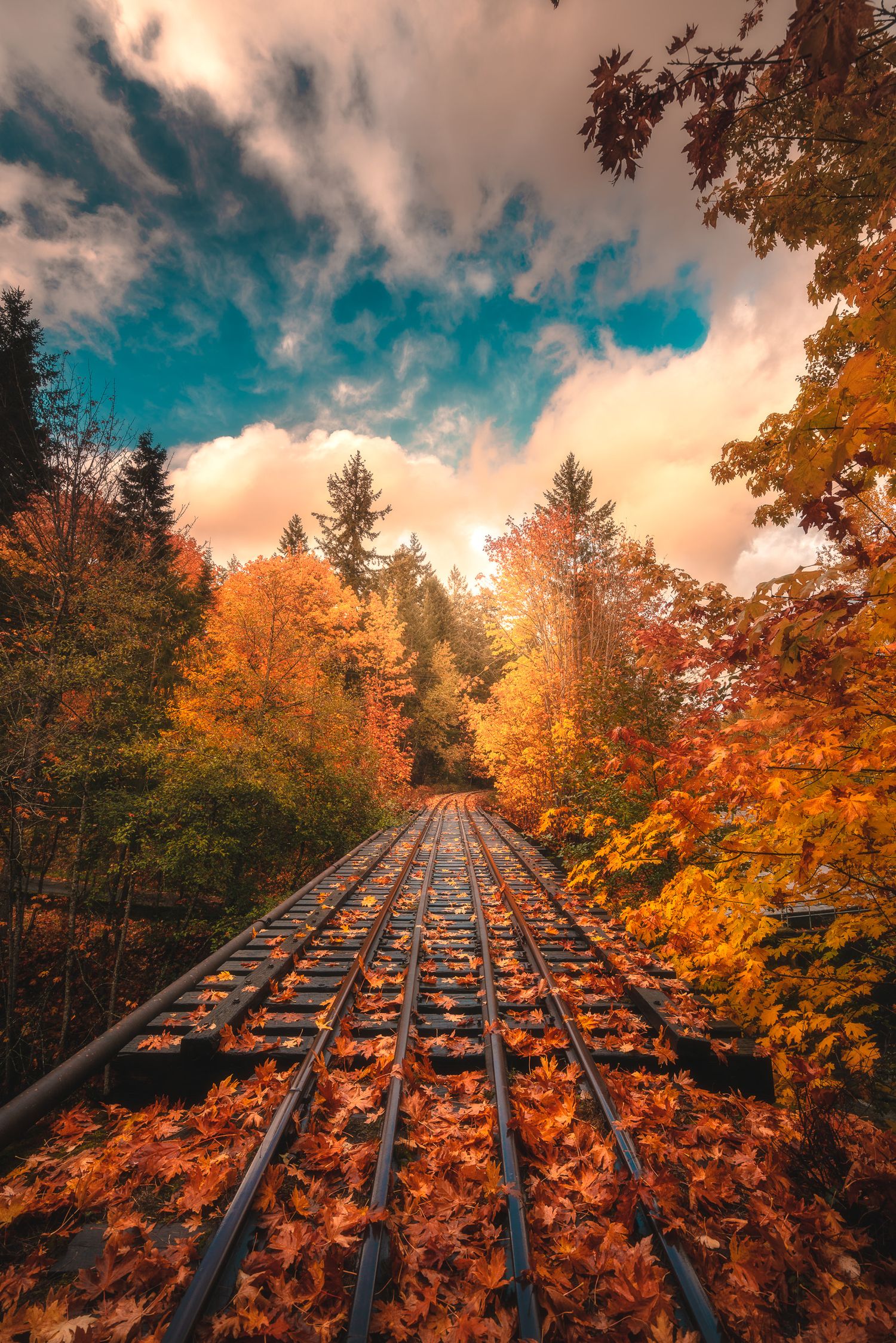 Railway tracks covered in fallen autumn leaves winding through colorful fall forest.