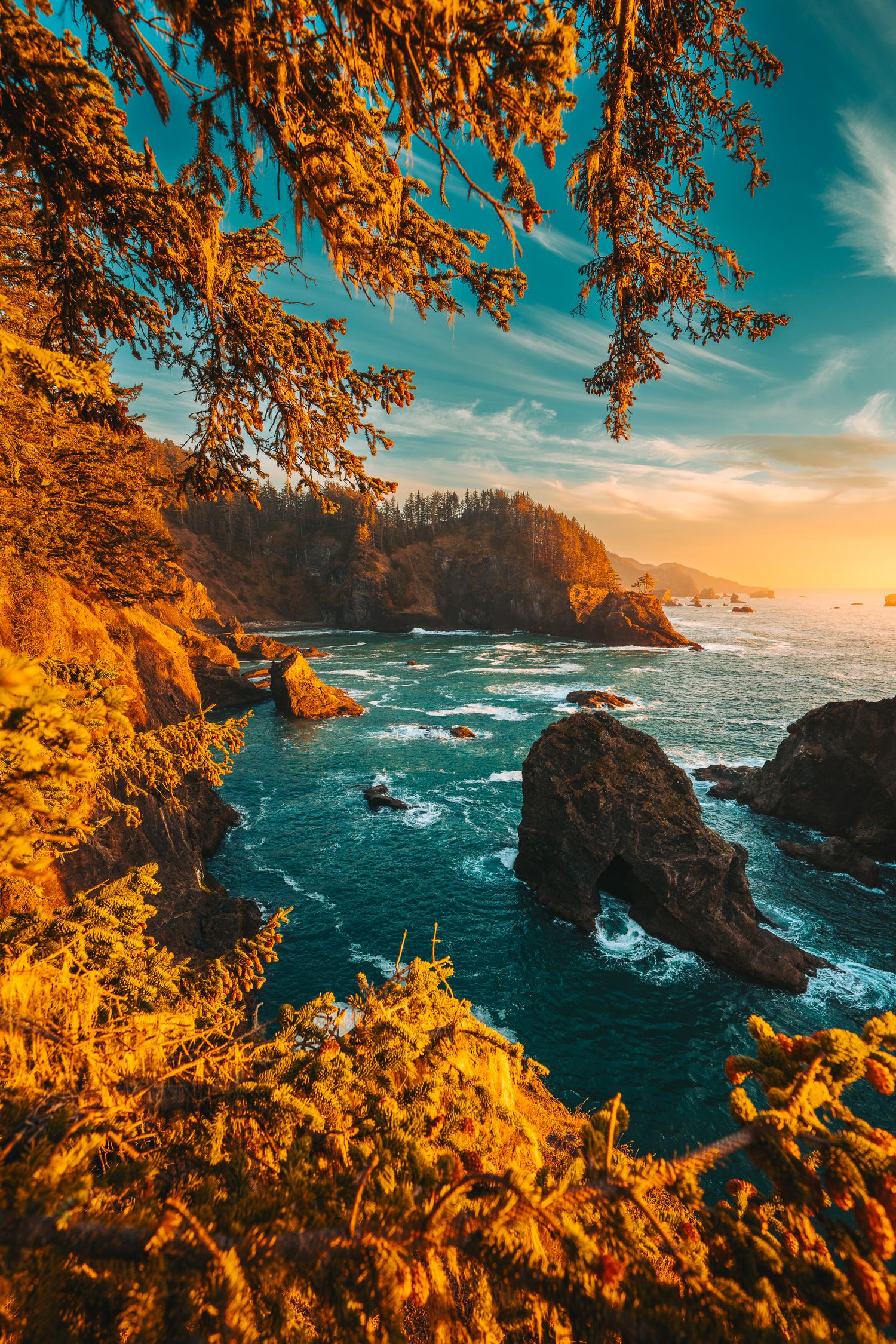 Dramatic coastal cliffs with turquoise ocean and rock arch framed by golden autumn foliage.