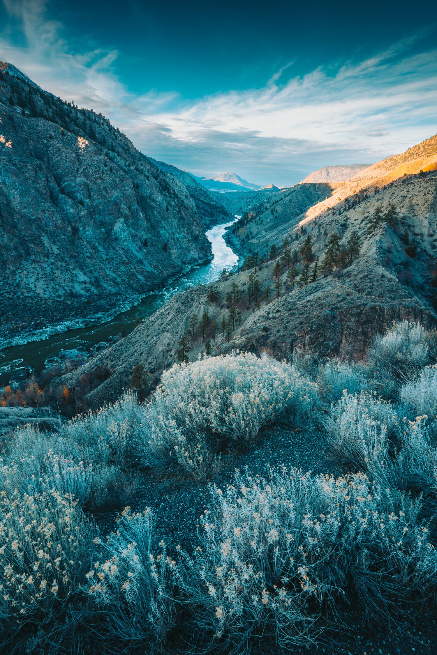 Winding river through a mountain valley with sagebrush foreground under a blue sky at sunrise.