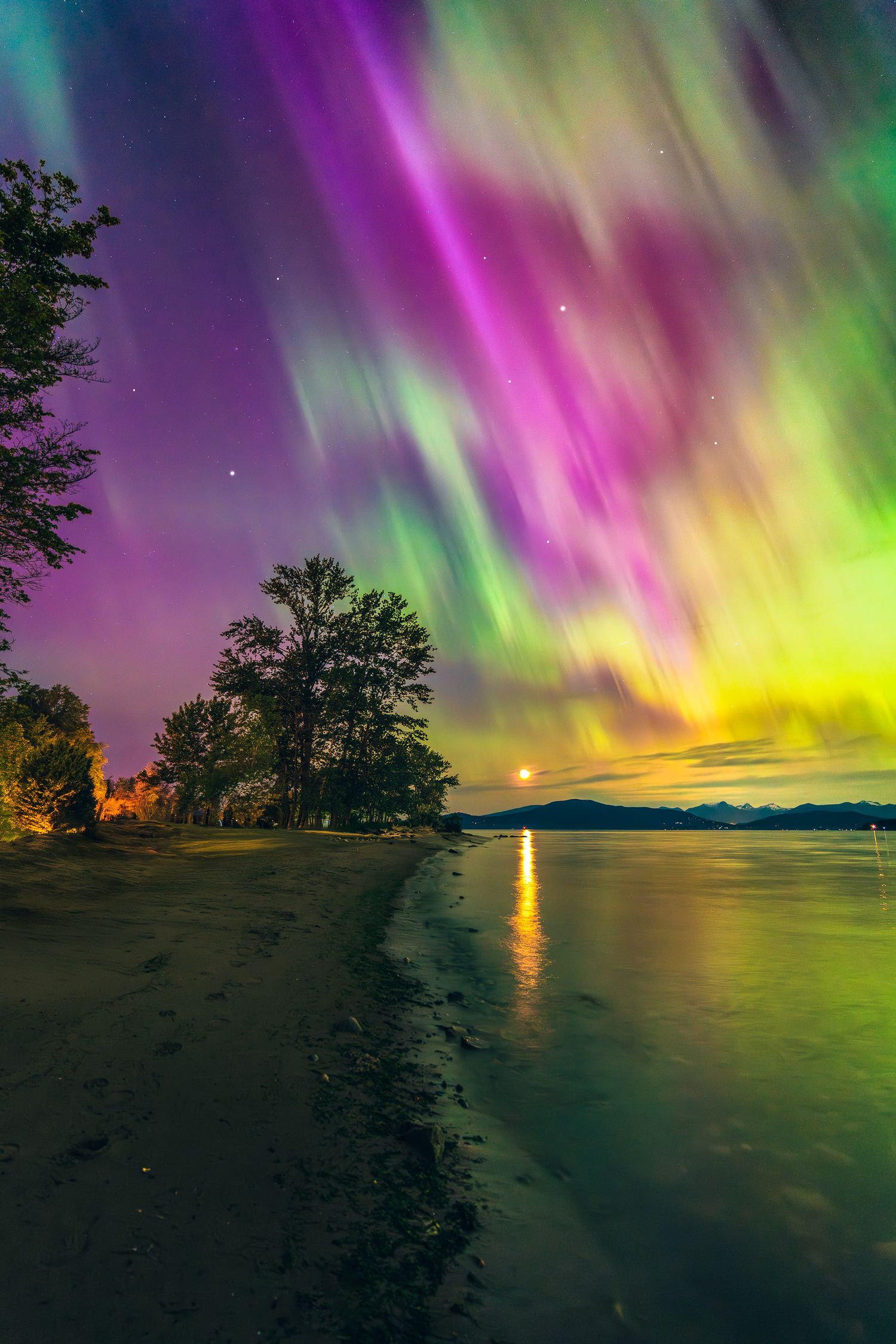 Brilliant purple and green northern lights aurora borealis streak across the sky over a lakeside beach.