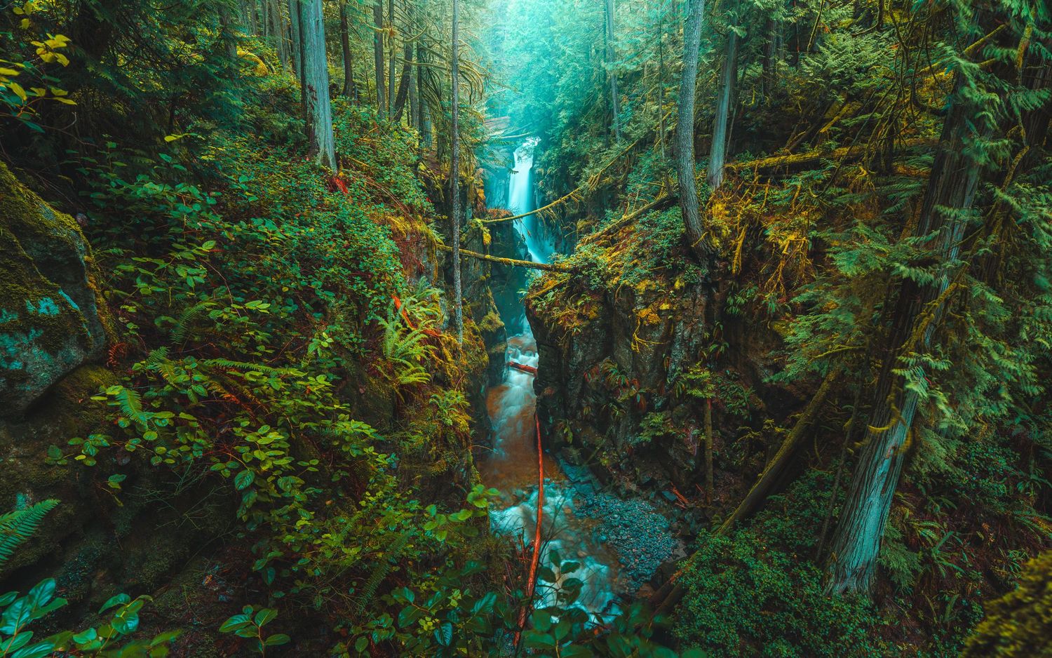 Lush green canyon gorge with cascading waterfalls and moss-covered cliffs in a dense rainforest wilderness.