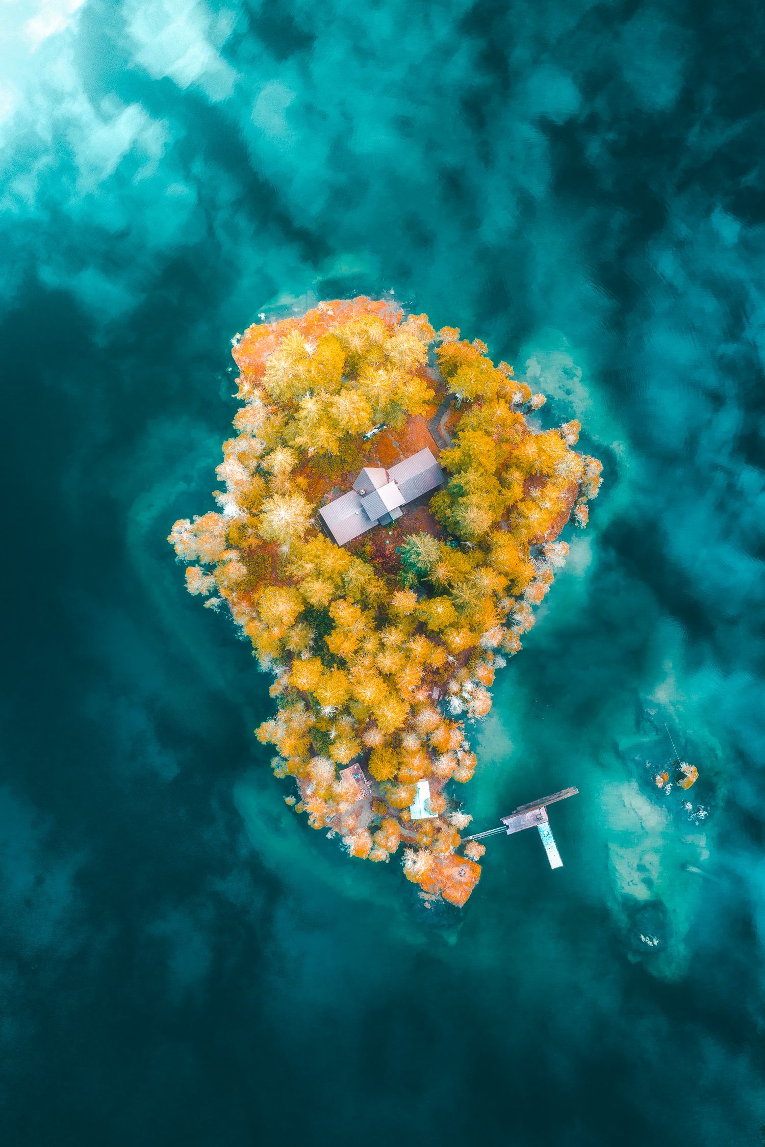 Aerial view of a tiny island with autumn orange trees and a small house surrounded by turquoise water.