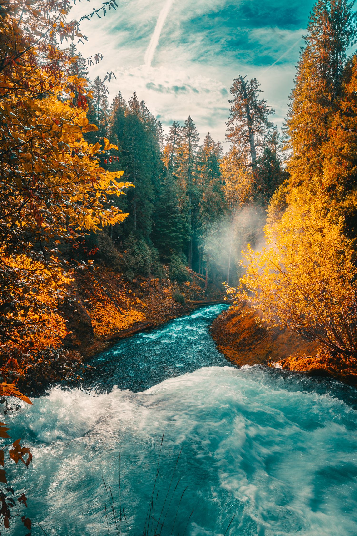 Rushing turquoise river winding through a vivid autumn forest of golden and orange trees.