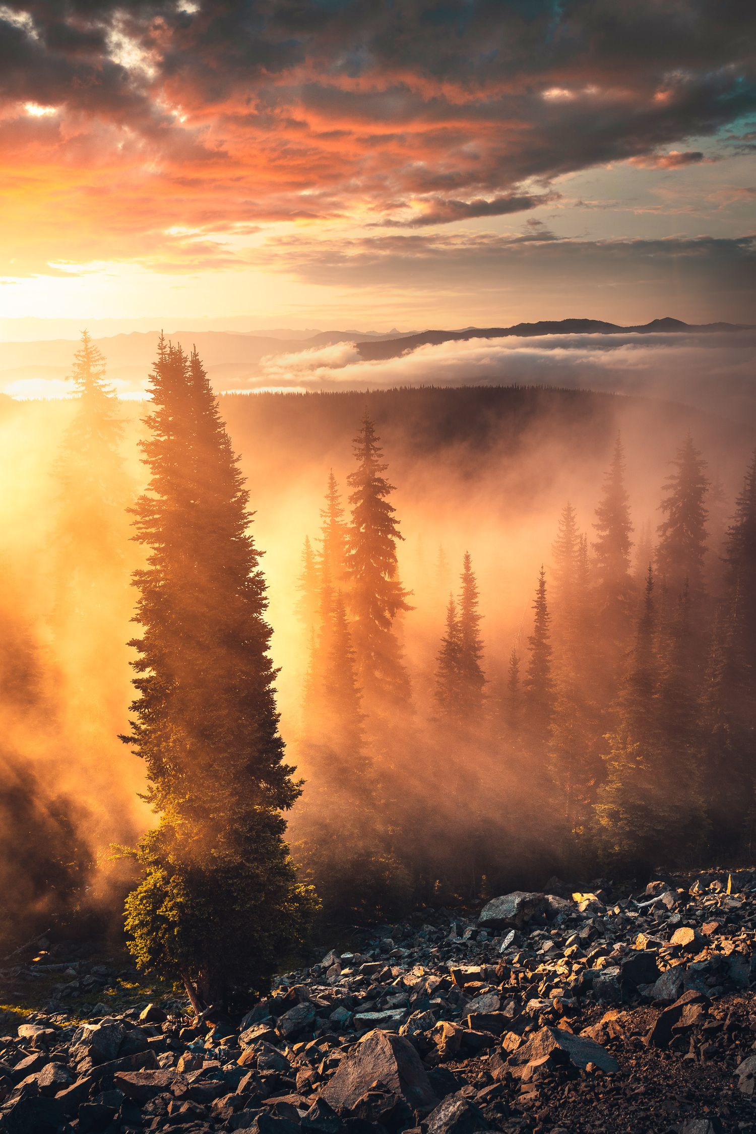 Dramatic sunset over misty mountain forest with golden light filtering through tall evergreen trees and rocky terrain.