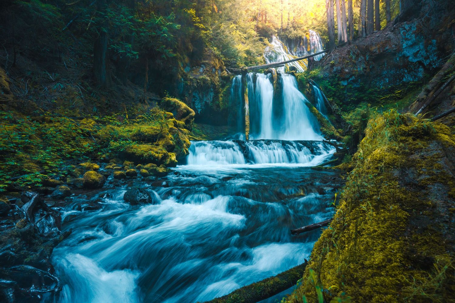 Powerful waterfall cascading through a moss-covered forest gorge in warm golden sunlight.
