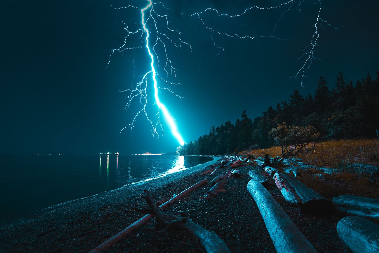 Lightning strike illuminates a dark shoreline with driftwood logs and conifer trees reflecting on calm water at night.