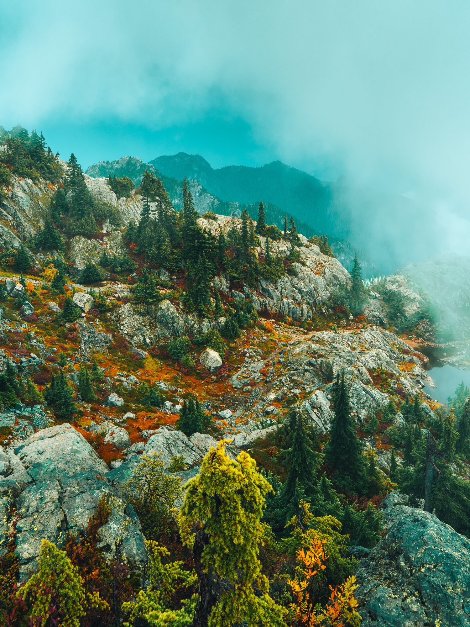 Misty autumn mountain landscape with colorful foliage and evergreen trees among rocky terrain.