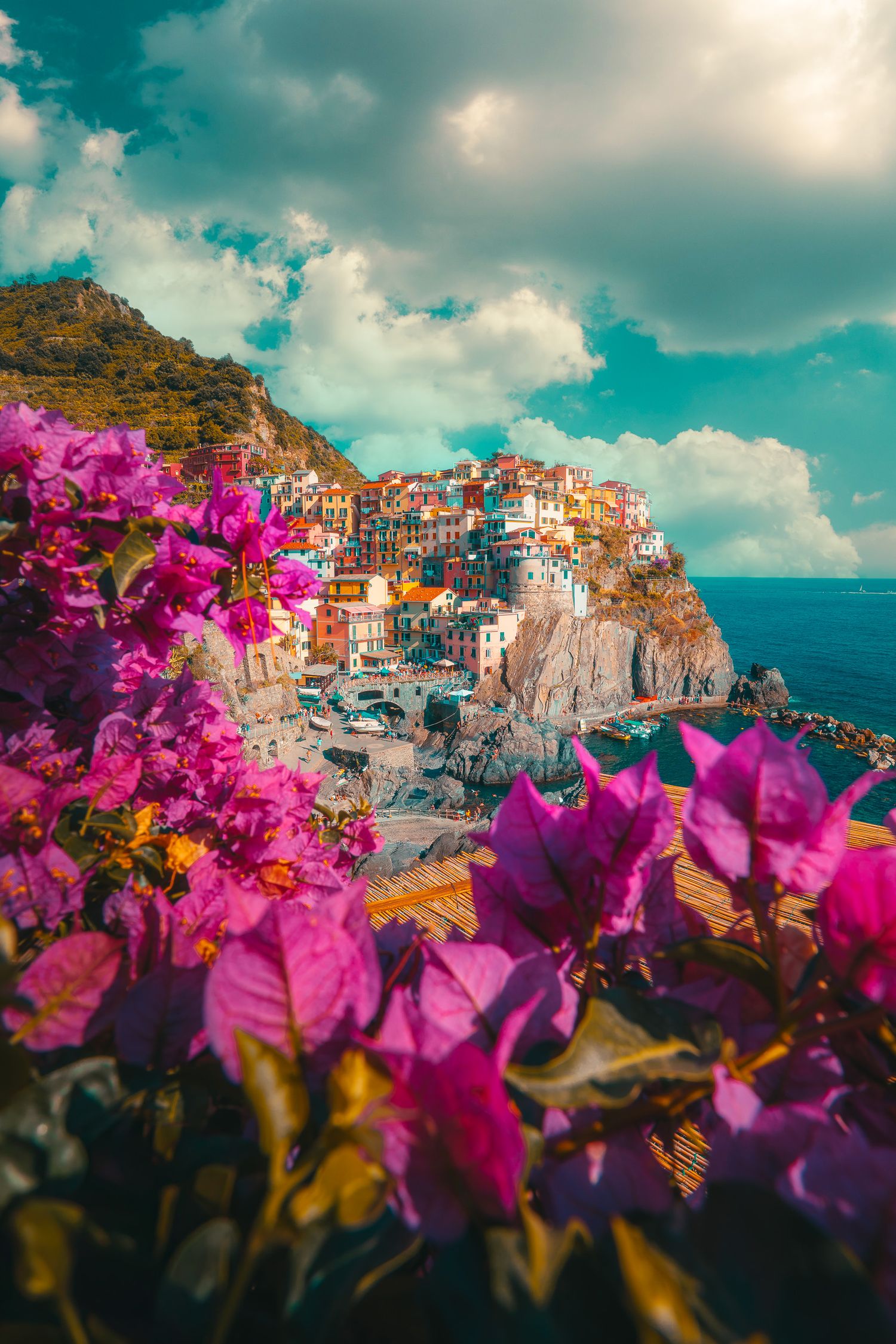 Colorful cliffside village of Manarola in Cinque Terre framed by vibrant pink bougainvillea flowers.