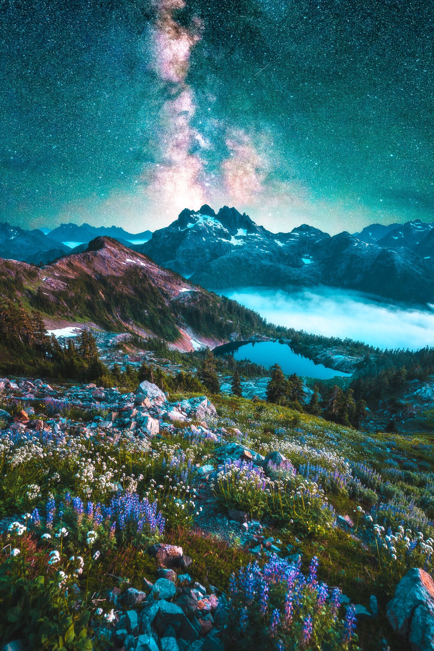 Wildflowers bloom on a mountain meadow beneath a stunning Milky Way galaxy in a starry night sky.