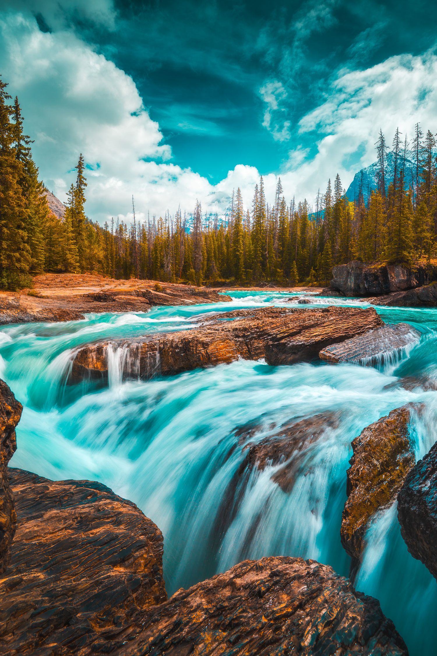 Rushing turquoise river rapids surrounded by pine trees and mountains under dramatic sky.
