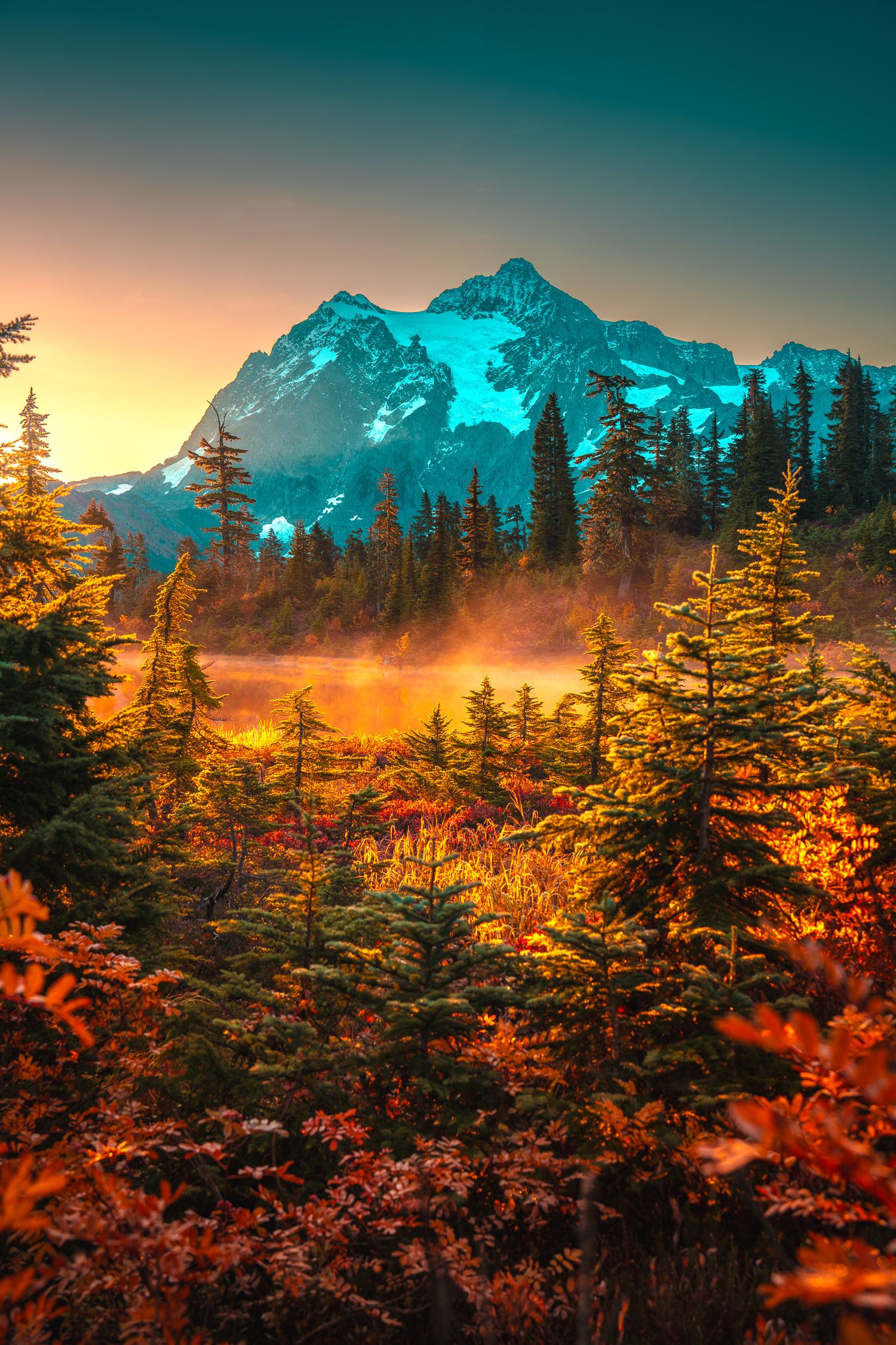 Autumn forest with golden foliage and snow-capped mountain peak at sunset in the Pacific Northwest.