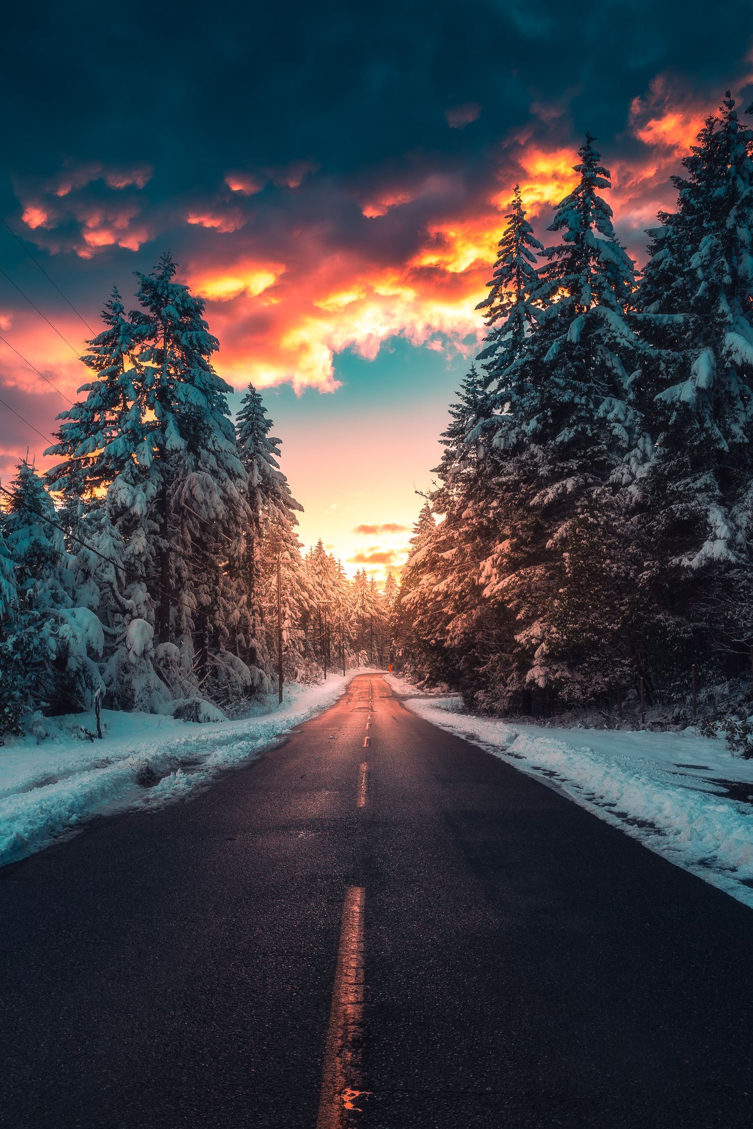 Snow-covered pine trees line a straight road at sunset with vibrant orange and teal clouds in a winter forest.