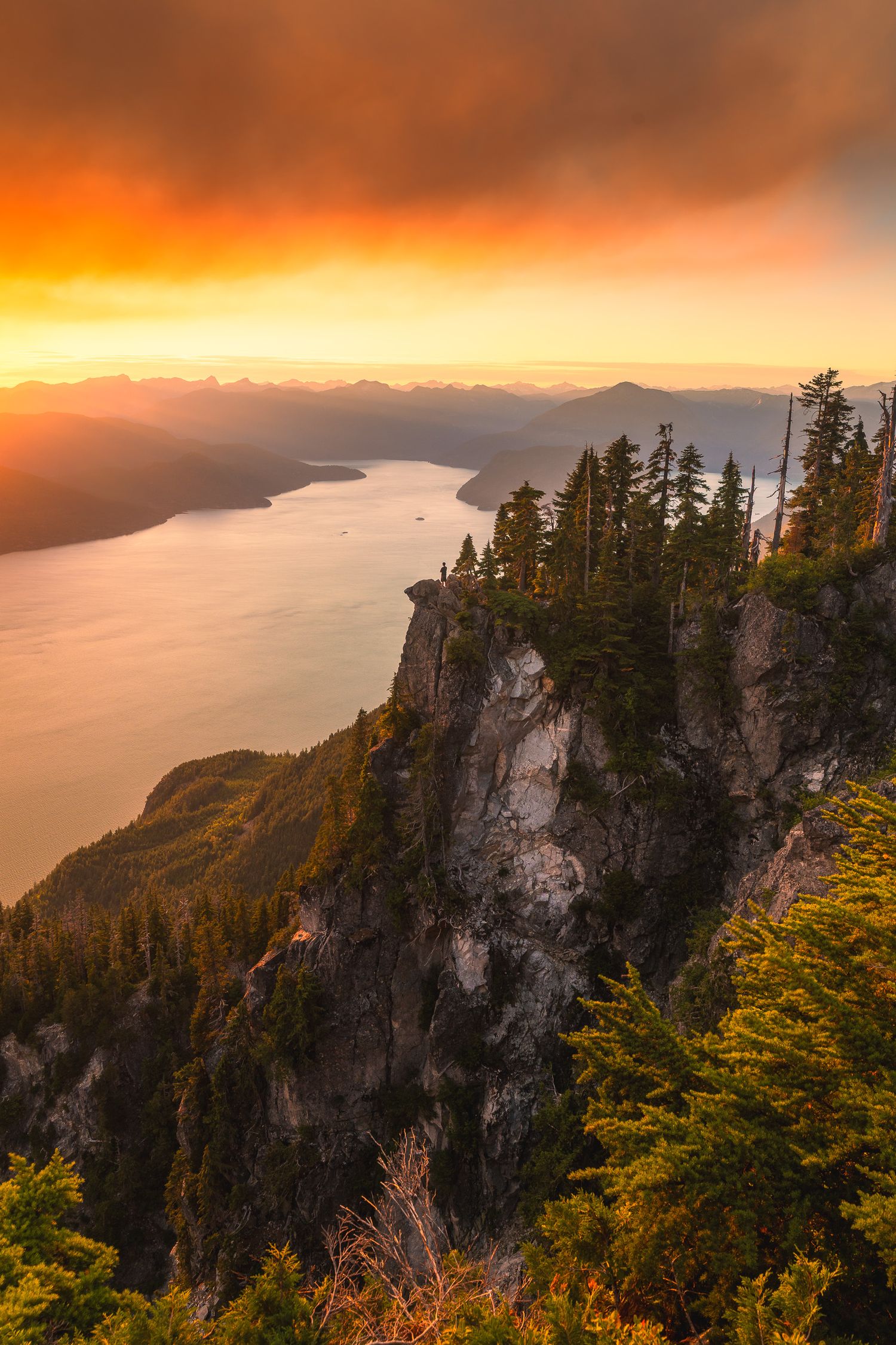 Dramatic sunset over a fjord viewed from a rocky cliff with evergreen trees, orange and red sky reflecting on calm water.