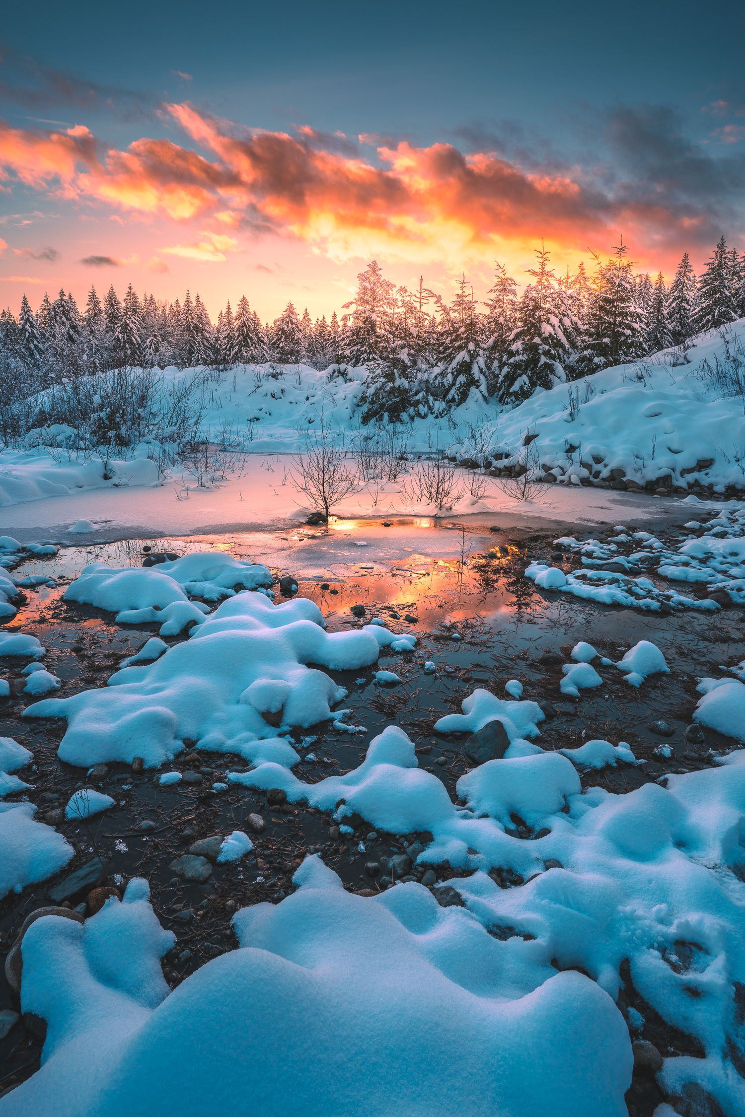 Fiery orange sunset reflecting in a partially frozen winter pond surrounded by snowy forest.