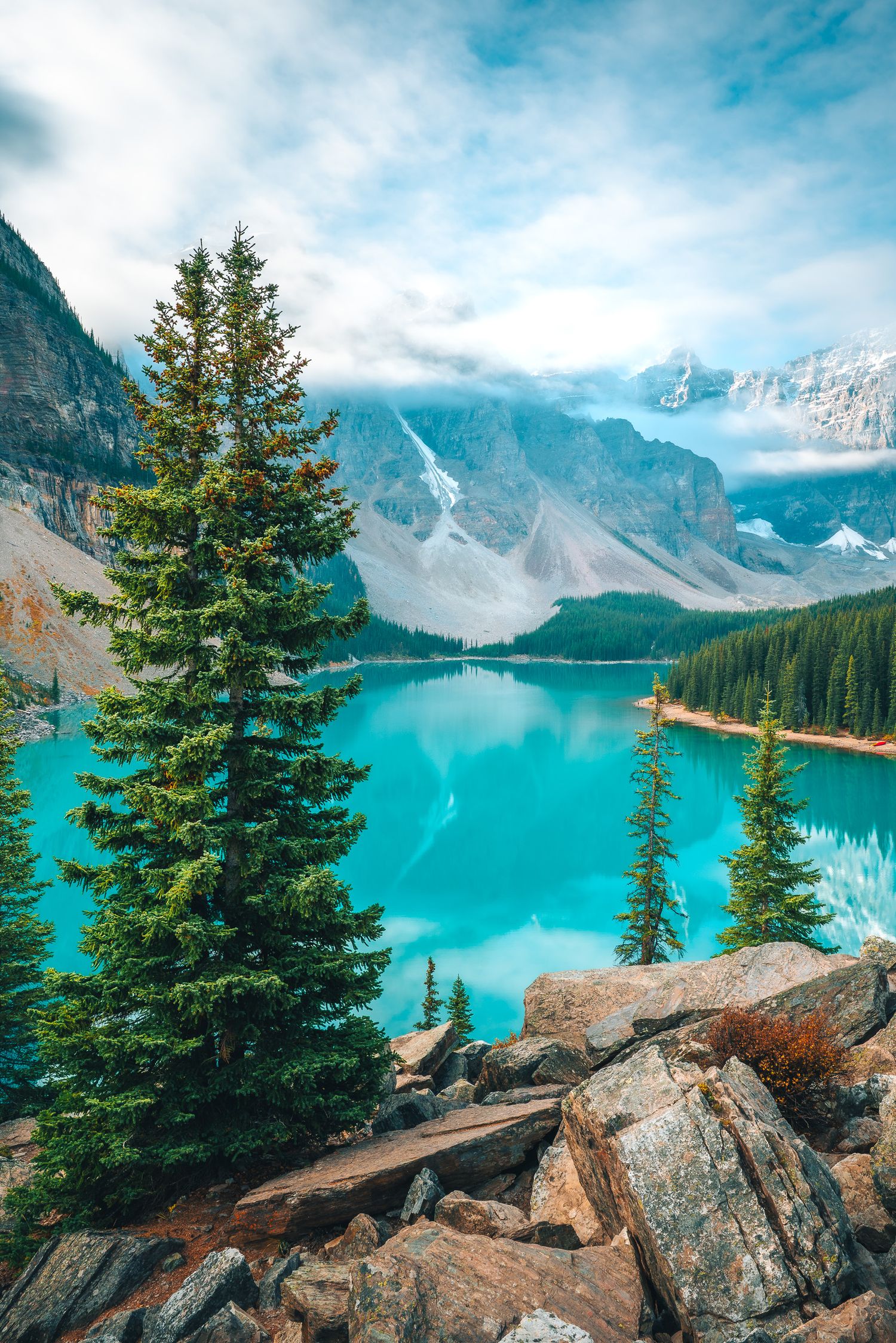 Two pine trees framing the brilliant turquoise waters of Moraine Lake with misty mountain backdrop.
