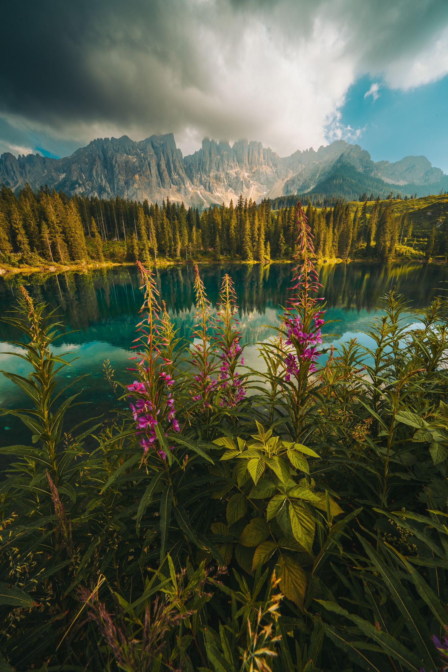 Pink wildflowers bloom beside a turquoise alpine lake reflecting jagged Dolomite mountain peaks.
