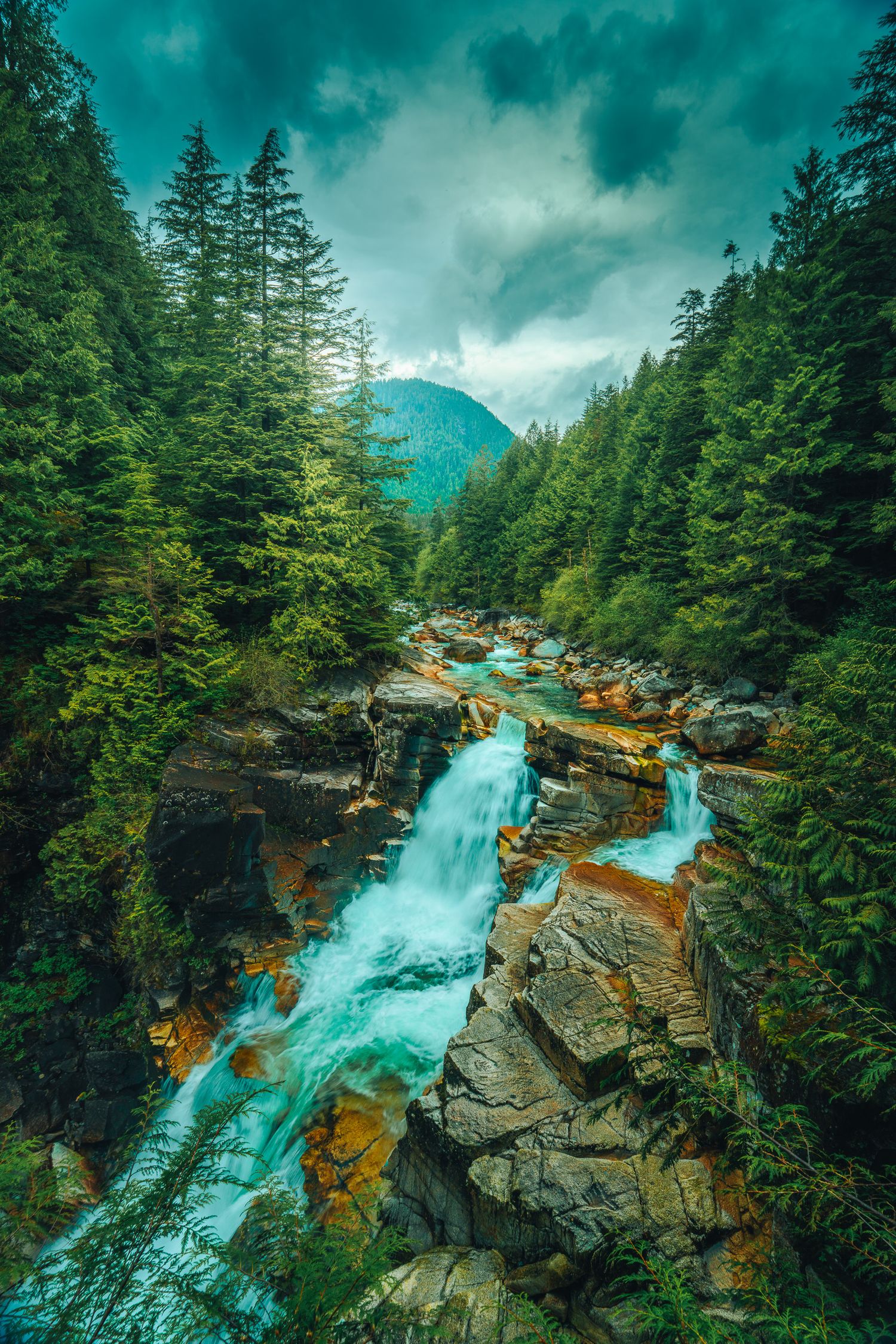 Turquoise mountain river rushing over rocks through dense evergreen forest under stormy sky.