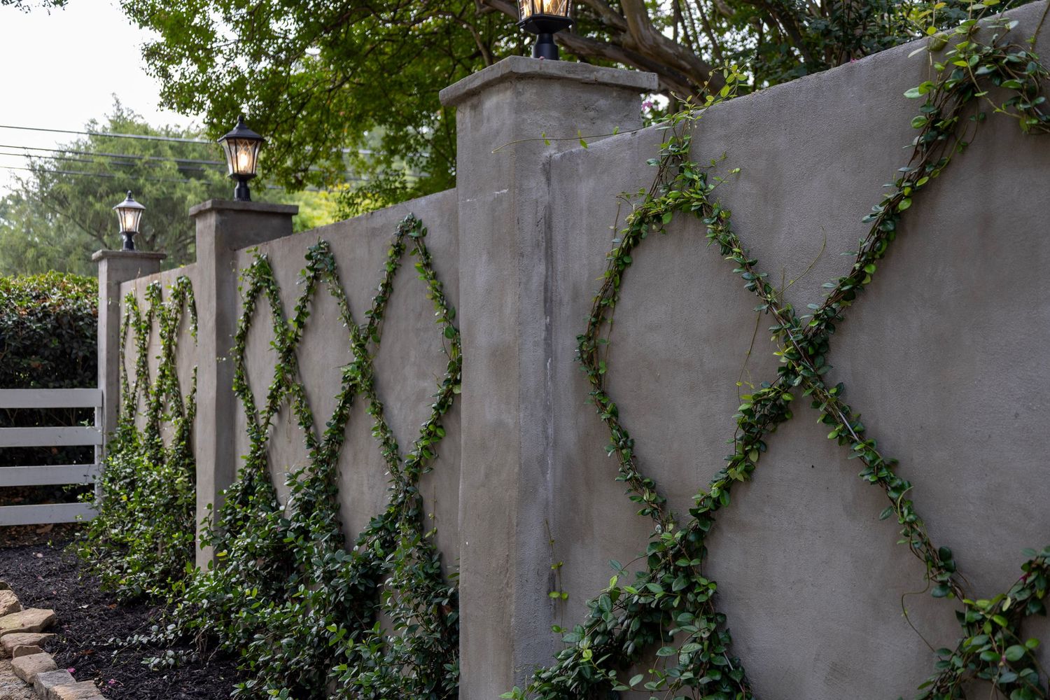 Stone wall with ivy growing in diamond trellis pattern, flanked by decorative pillar lanterns in a garden setting.