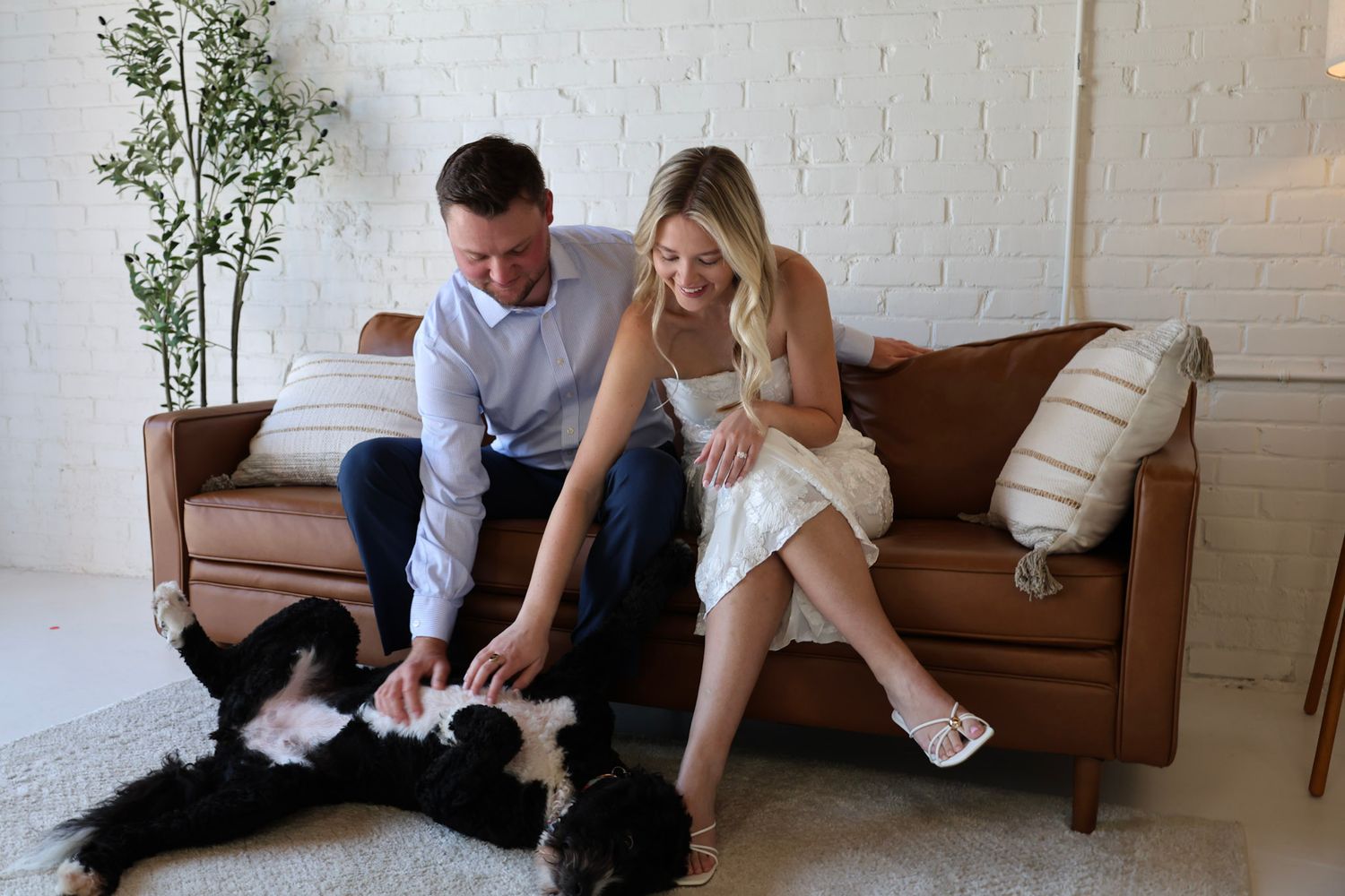 Engaged couple sitting on brown leather couch petting their black and white dog on a white brick wall background.