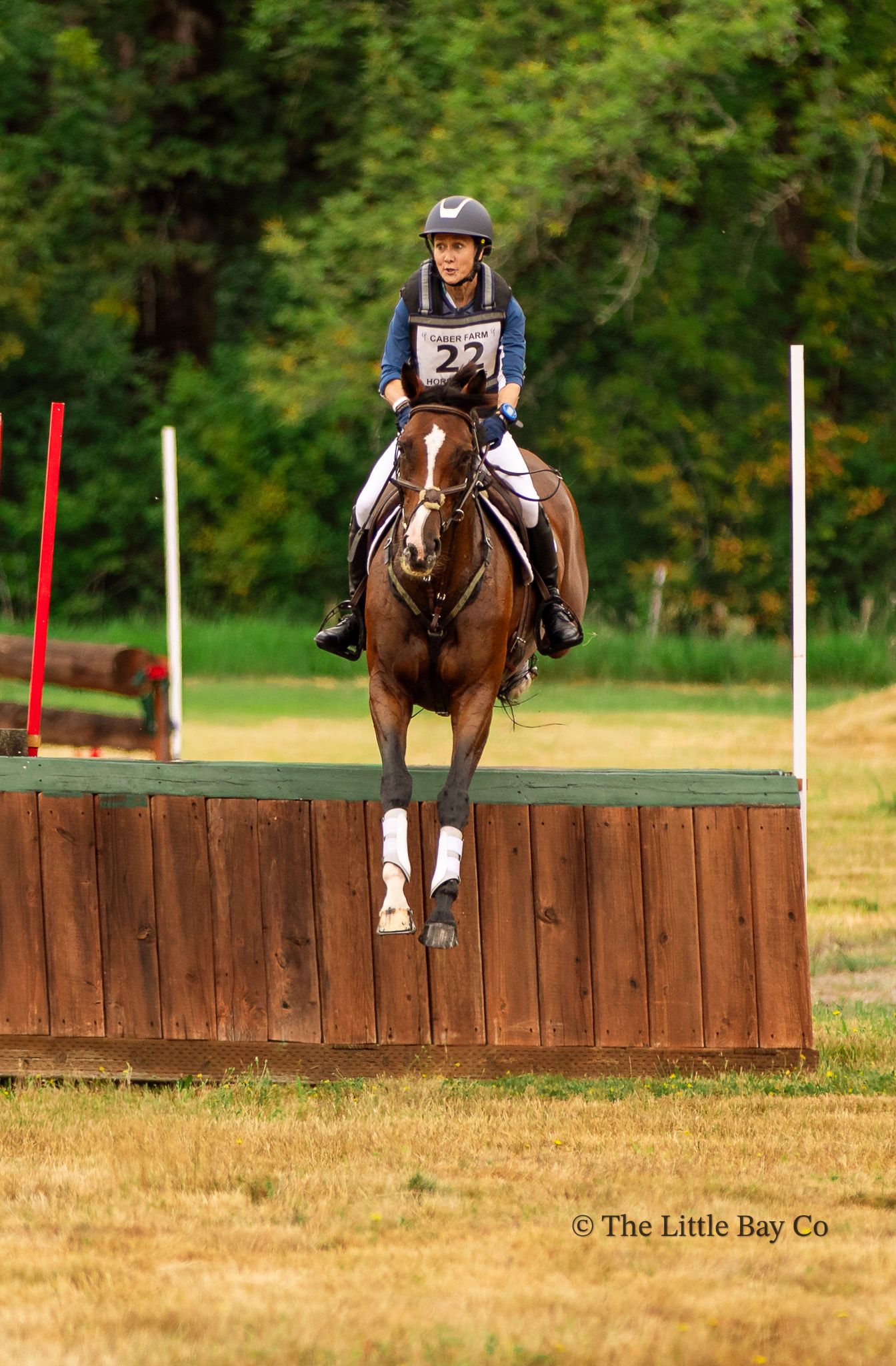 Equestrian rider number 22 jumping a wooden fence obstacle on a chestnut horse during a cross-country competition.