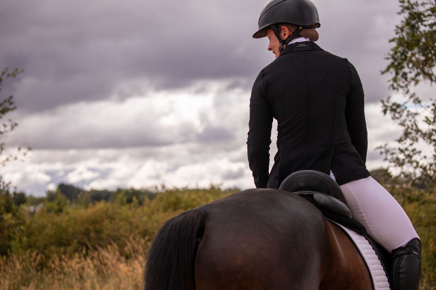 Equestrian rider in black jacket viewed from behind on a bay horse under cloudy skies.