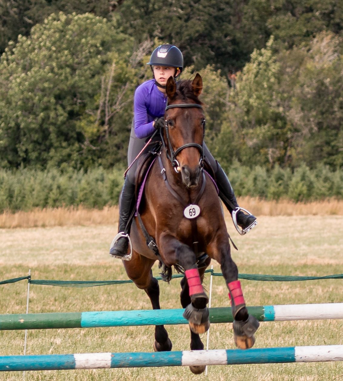 Young rider in purple jumping a bay horse over a colorful fence at an equestrian competition.