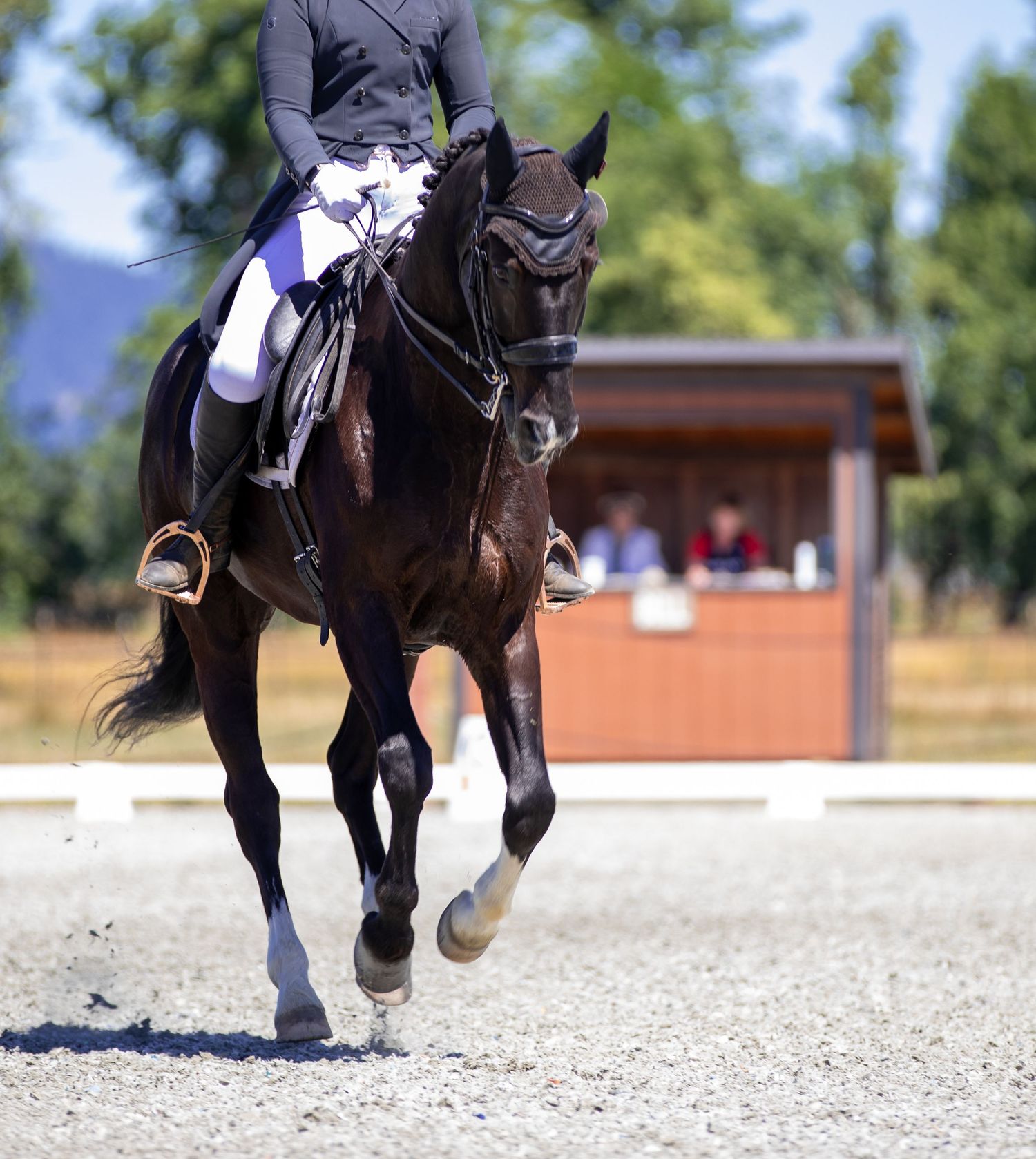 A rider and her black horse compete in a show.
