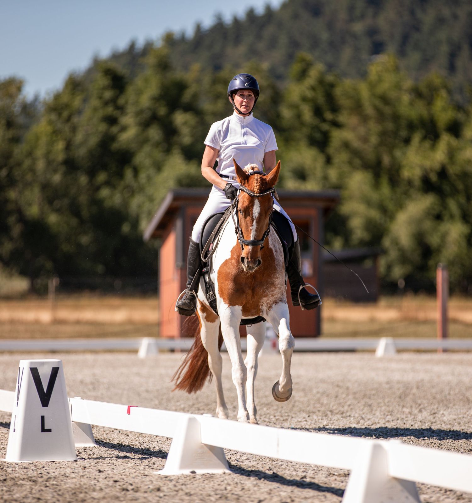 A rider and her chestnut pinto horse compete in a show.
